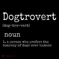 Dogtrovert Definition Funny Dog S Women's T-Shirt thumb 6
