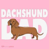 Dachshund Dad Father's Day Coaster thumb 2