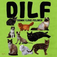 Dilf Damn I Love Felines Funny Cat Kitty Lover Adult Drive Performance Visor thumb 2
