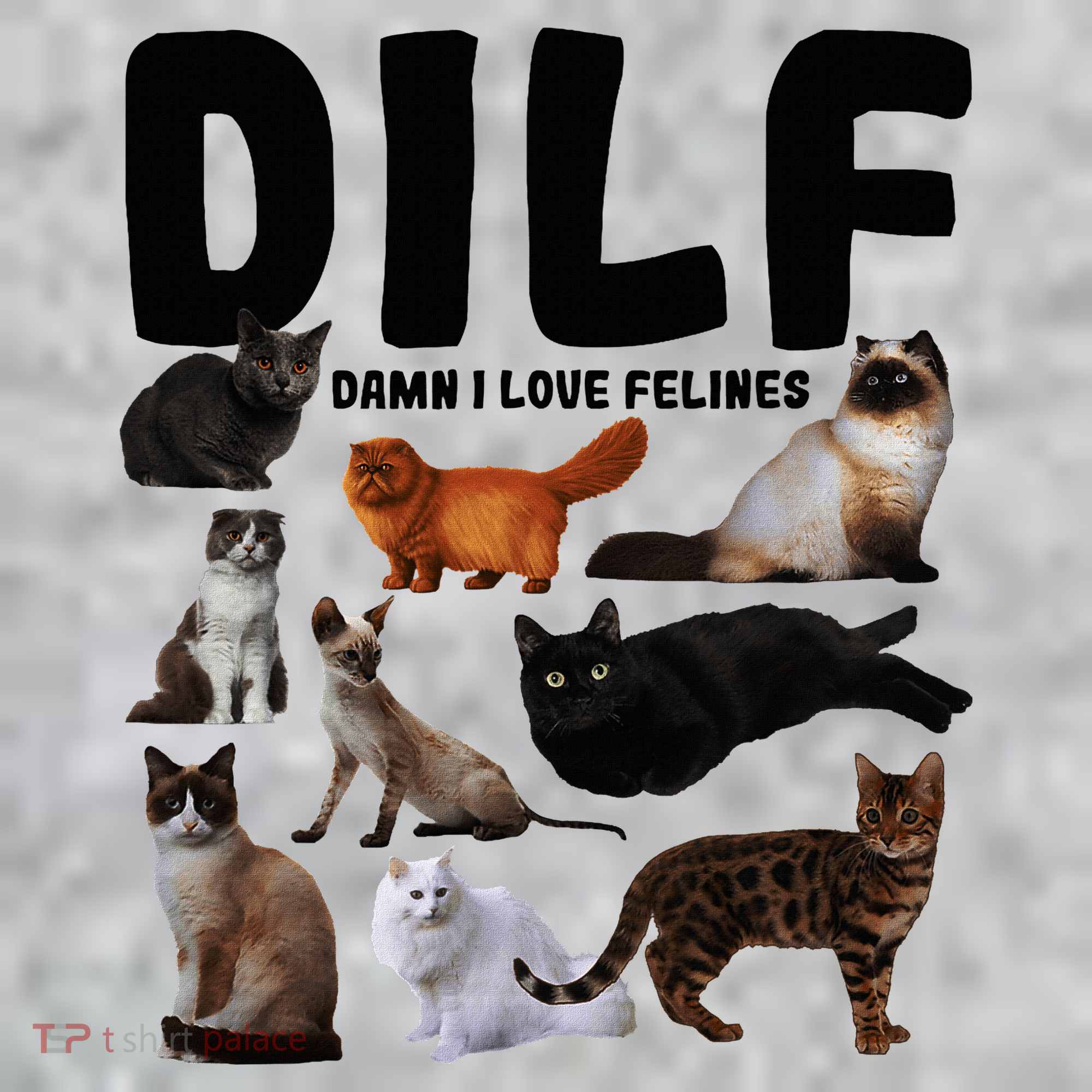 Dilf Damn I Love Felines Funny Cat Kitty Lover The Baniff Cuffed Pom Beanie