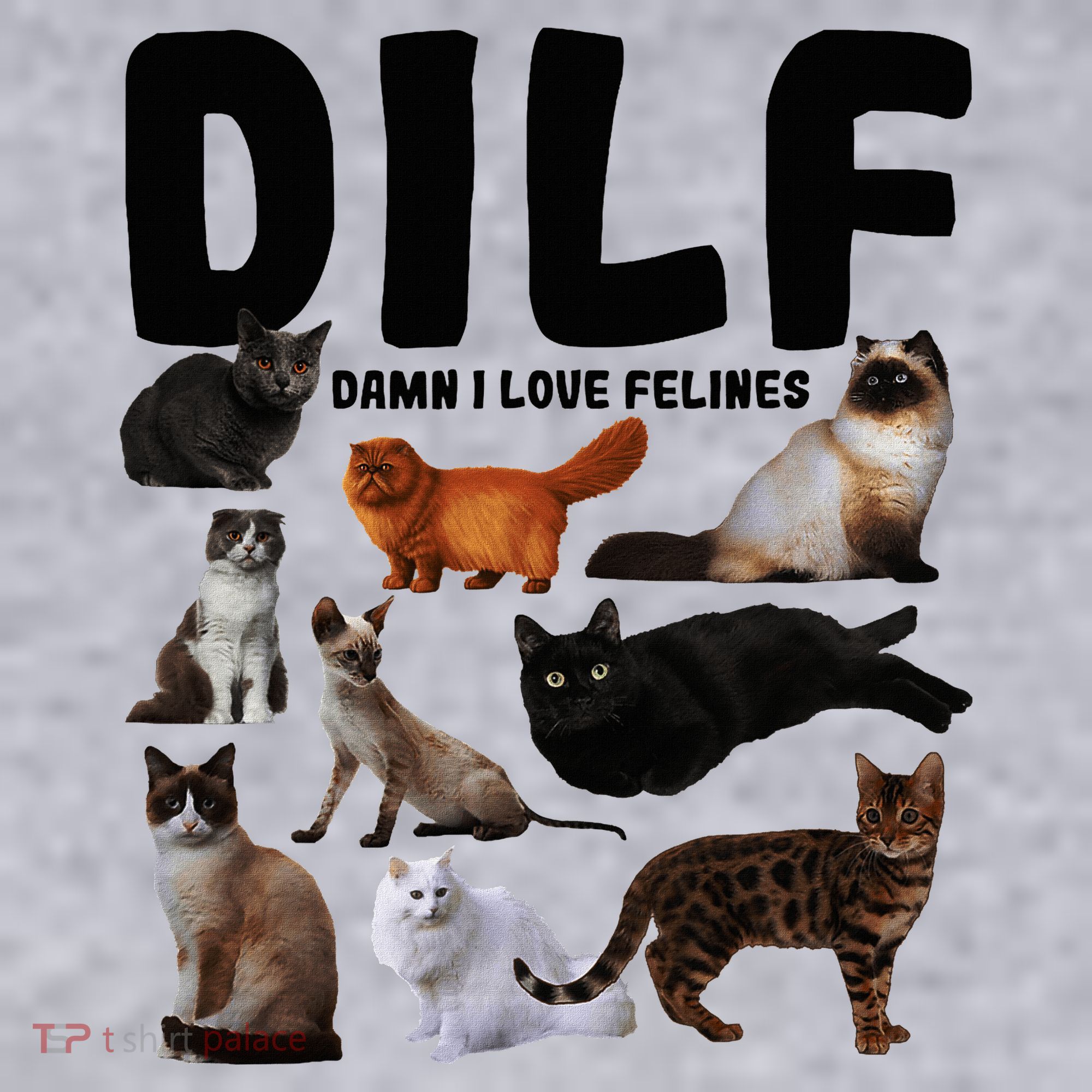 Dilf Damn I Love Felines Funny Cat Kitty Lover Ladies Heavyweight Boxy Pullover Hoodie