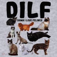 Dilf Damn I Love Felines Funny Cat Kitty Lover Women's Sweatshirt thumb 2