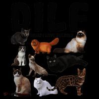 Dilf Damn I Love Felines Funny Cat Kitty Lover Kids Colorblock Raglan Jersey thumb 2