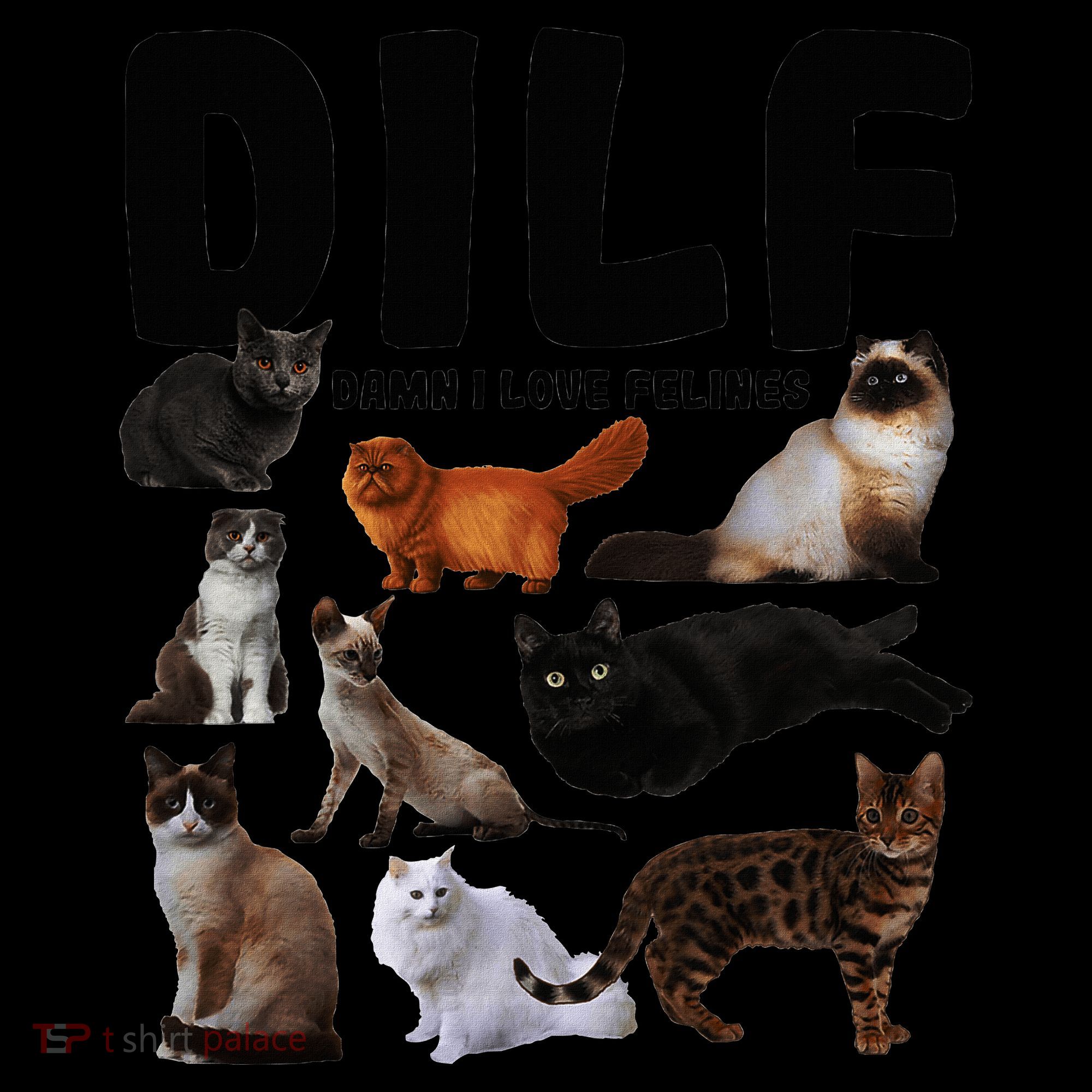 Dilf Damn I Love Felines Funny Cat Kitty Lover Kids Colorblock Raglan Jersey