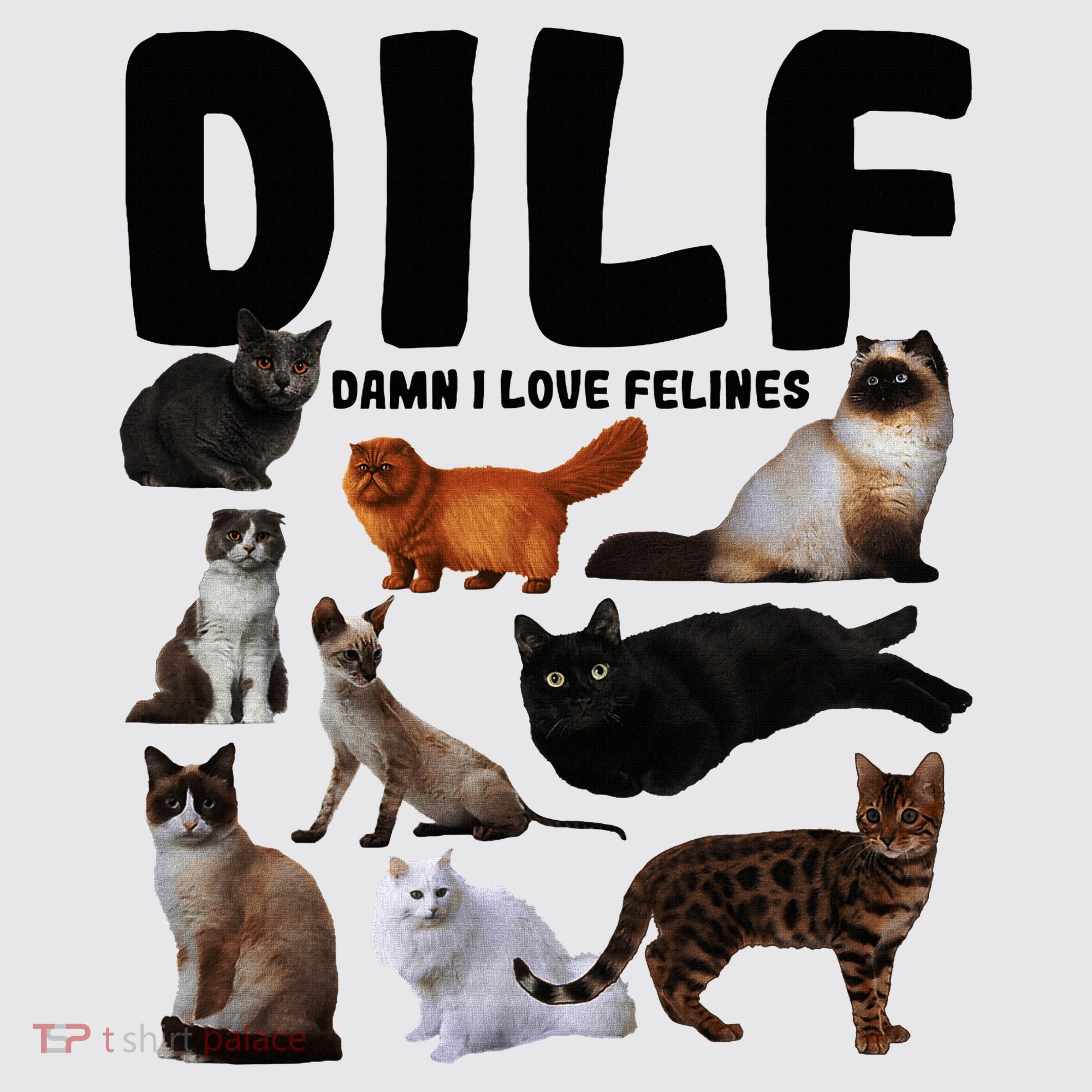 Dilf Damn I Love Felines Funny Cat Kitty Lover Womens Funnel Neck Pullover Hood