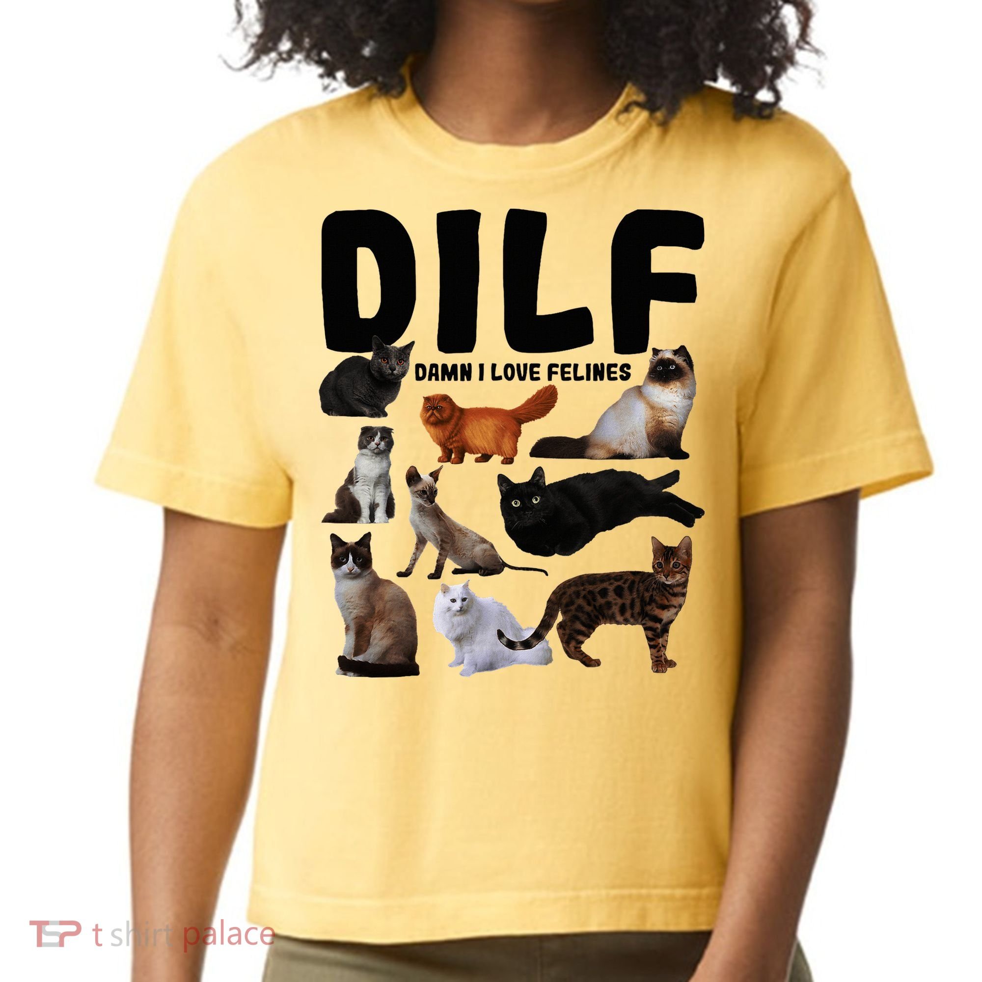 Dilf Damn I Love Felines Funny Cat Kitty Lover Comfort Colors Boxy T-Shirt
