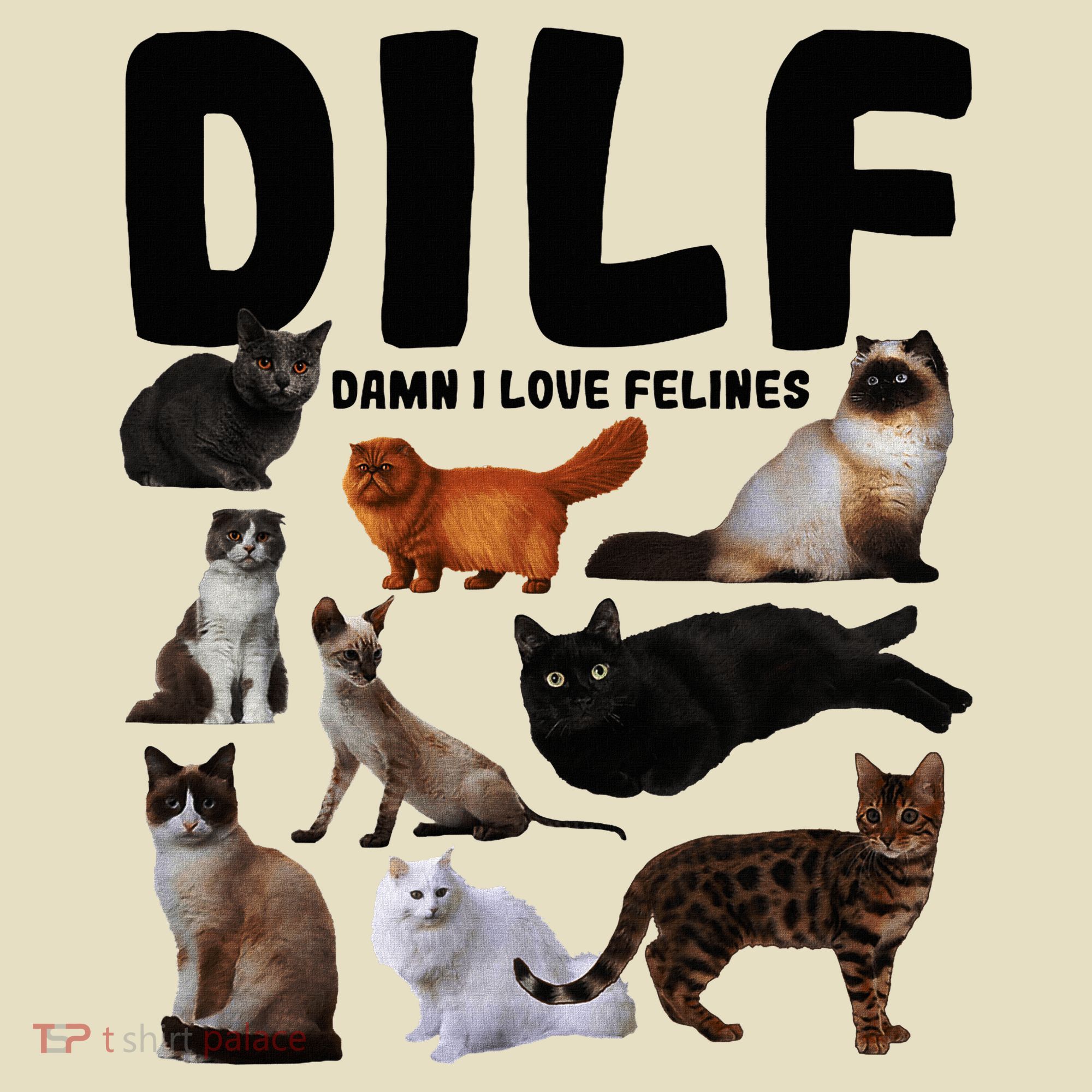 Dilf Damn I Love Felines Funny Cat Kitty Lover Comfort Colors Boxy T-Shirt