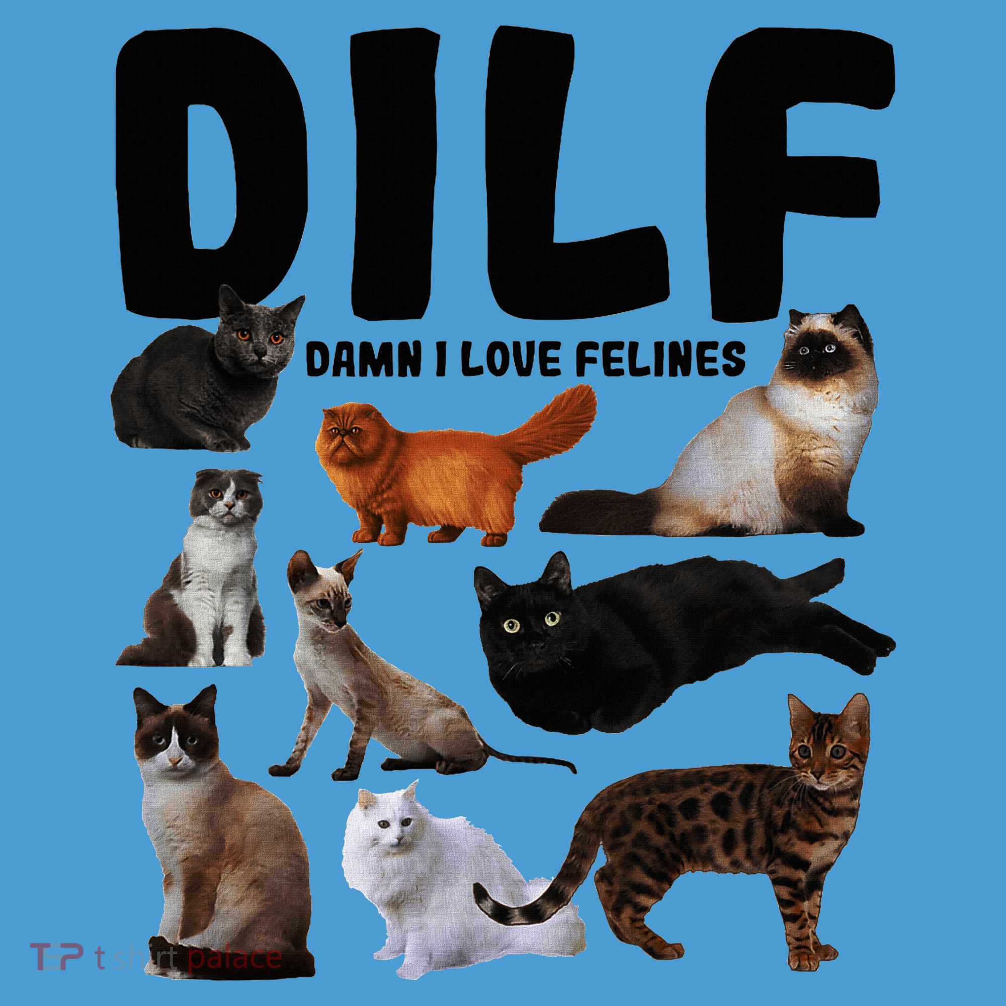 Dilf Damn I Love Felines Funny Cat Kitty Lover Tie Dye Hoodie