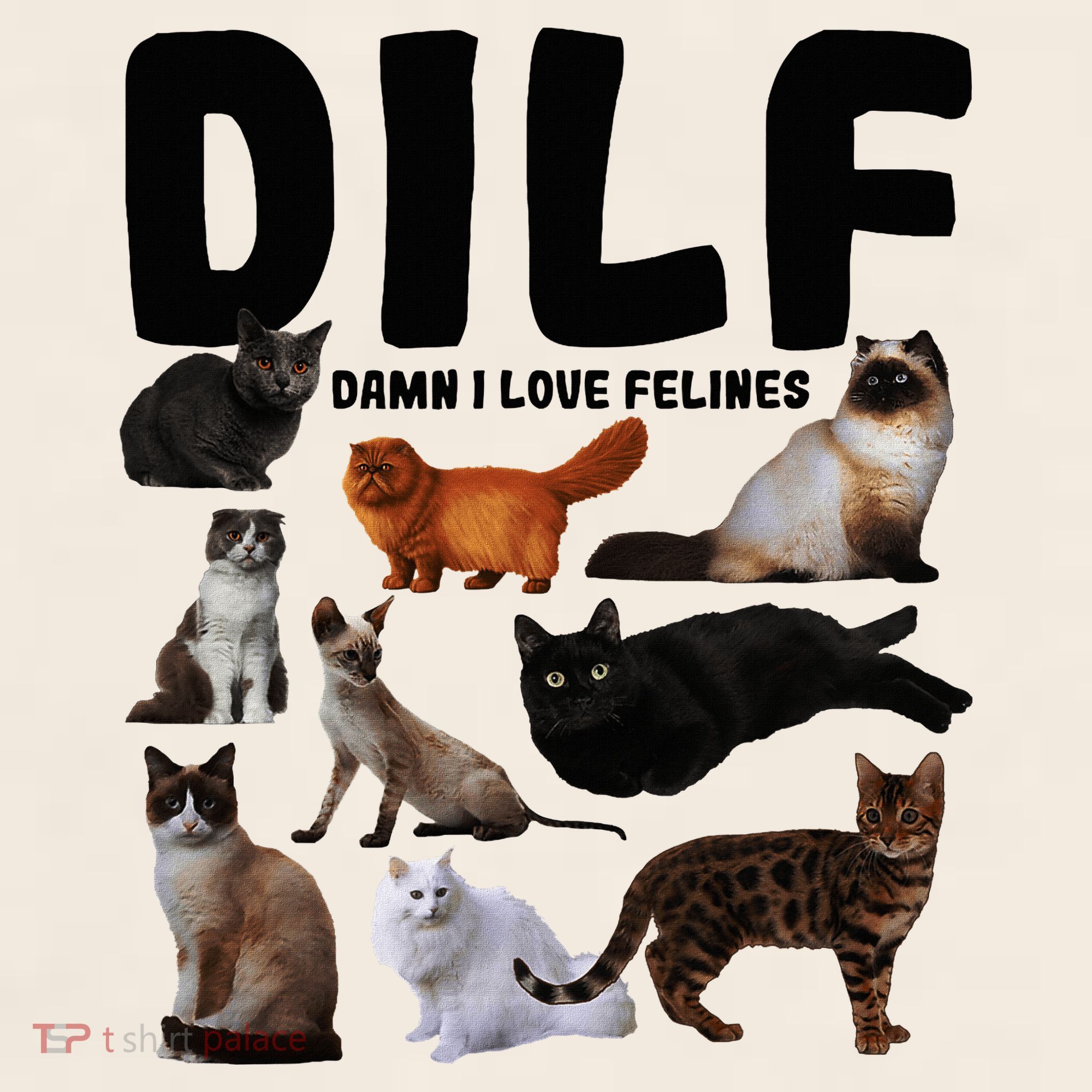 Dilf Damn I Love Felines Funny Cat Kitty Lover Garment-Dyed Women's Muscle Tee