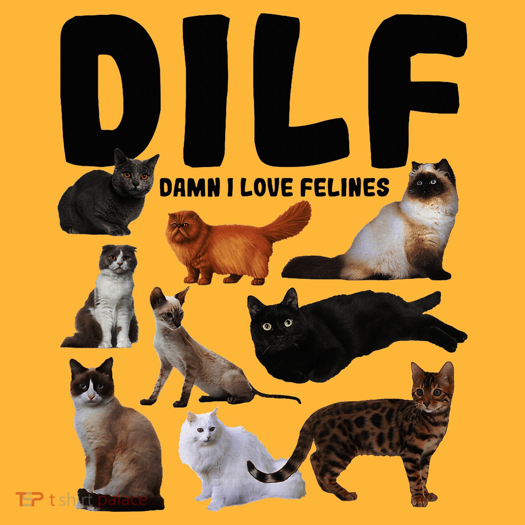 Dilf Damn I Love Felines Funny Cat Kitty Lover Pom Pom 12in Knit Beanie