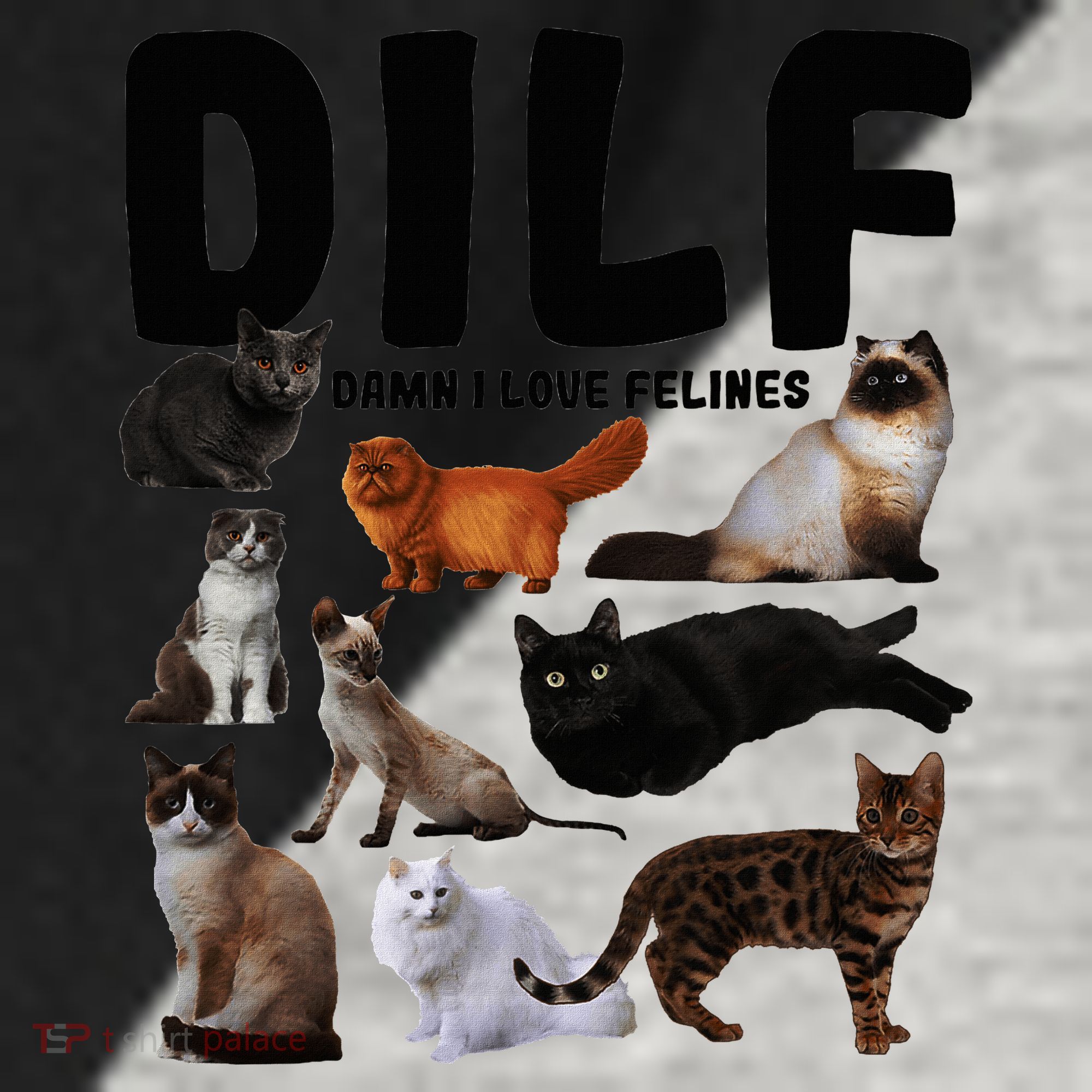 Dilf Damn I Love Felines Funny Cat Kitty Lover Raglan Baseball Sleeve Shirt