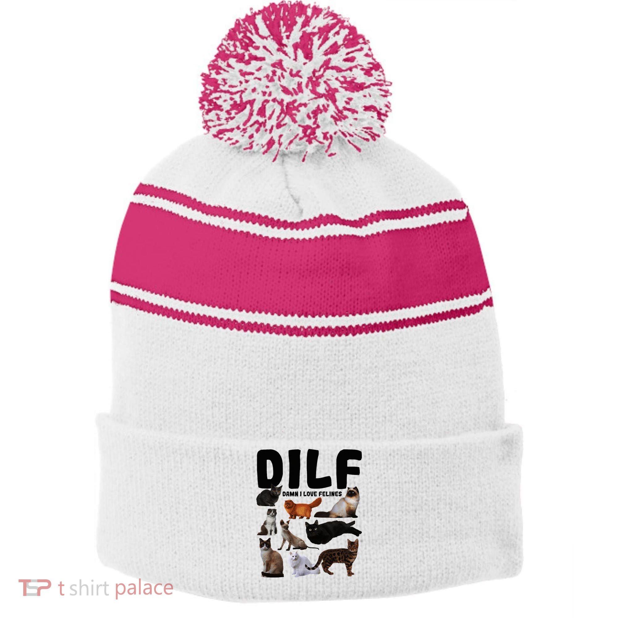 Dilf Damn I Love Felines Funny Cat Kitty Lover Stripe Pom Pom Beanie
