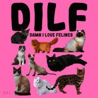 Dilf Damn I Love Felines Funny Cat Kitty Lover Stripe Pom Pom Beanie thumb 2