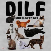 Dilf Damn I Love Felines Funny Cat Kitty Lover Ladies PosiCharge Tri-Blend Wicking Tank thumb 2