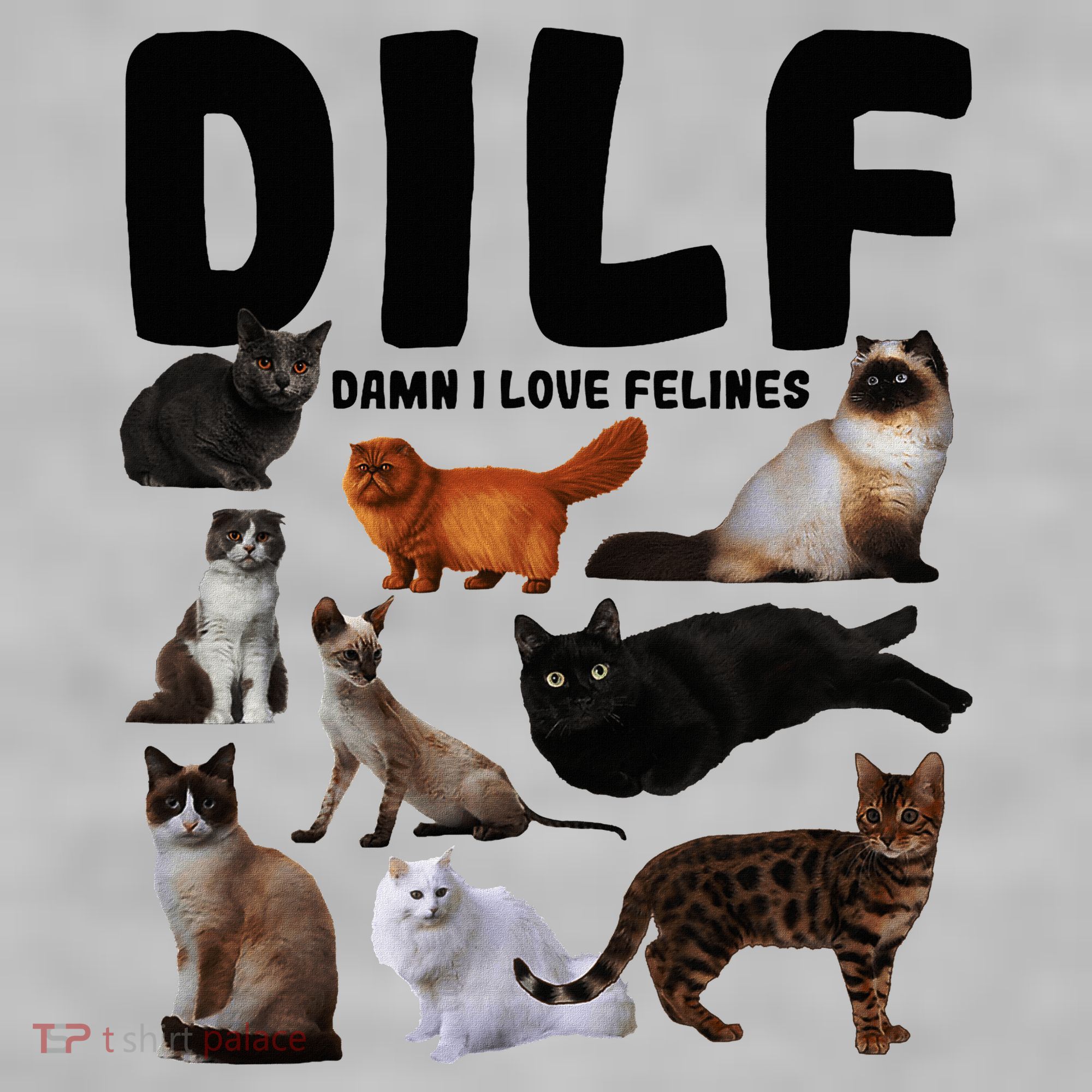 Dilf Damn I Love Felines Funny Cat Kitty Lover Ladies PosiCharge Tri-Blend Wicking Tank