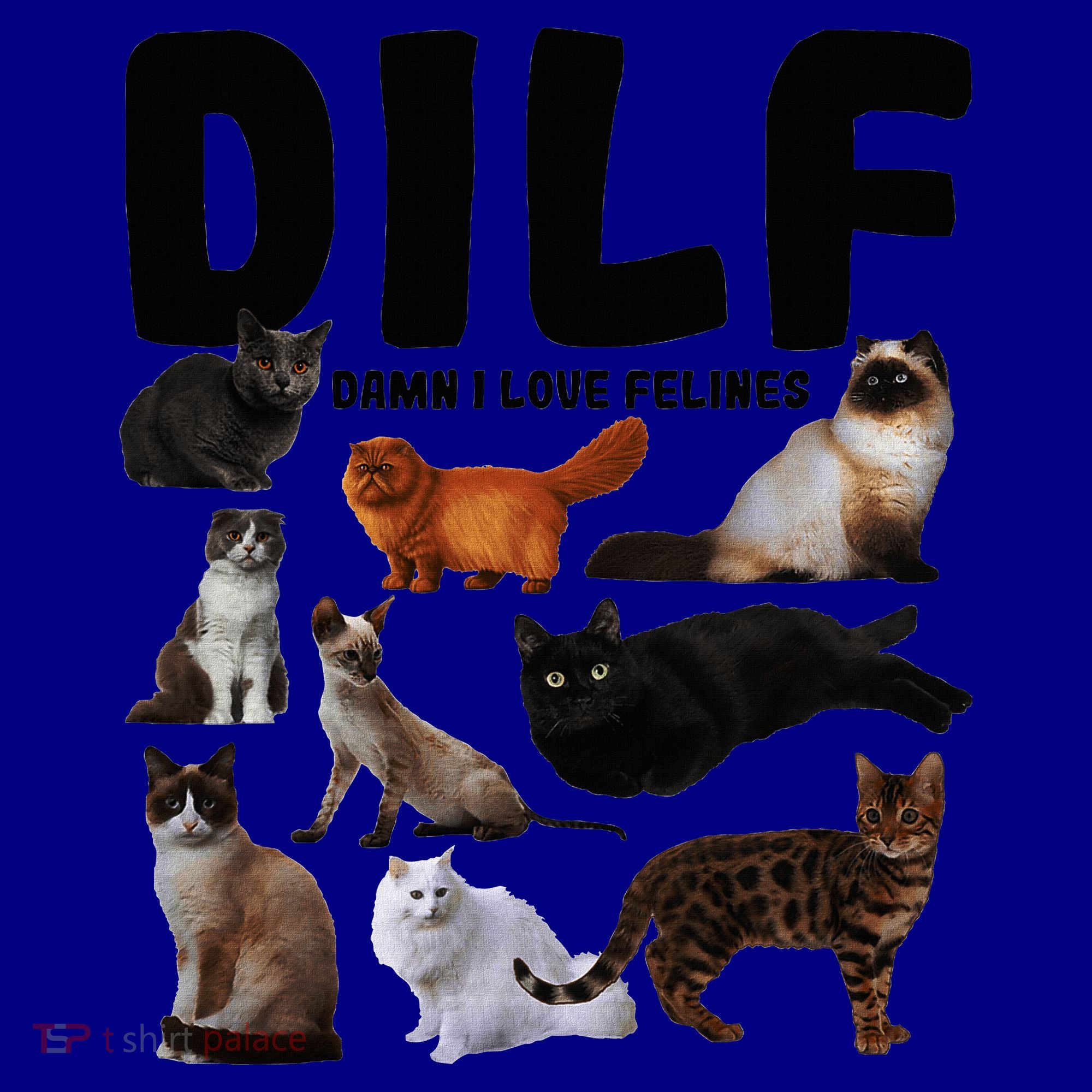 Dilf Damn I Love Felines Funny Cat Kitty Lover Port Authority Basic Backpack