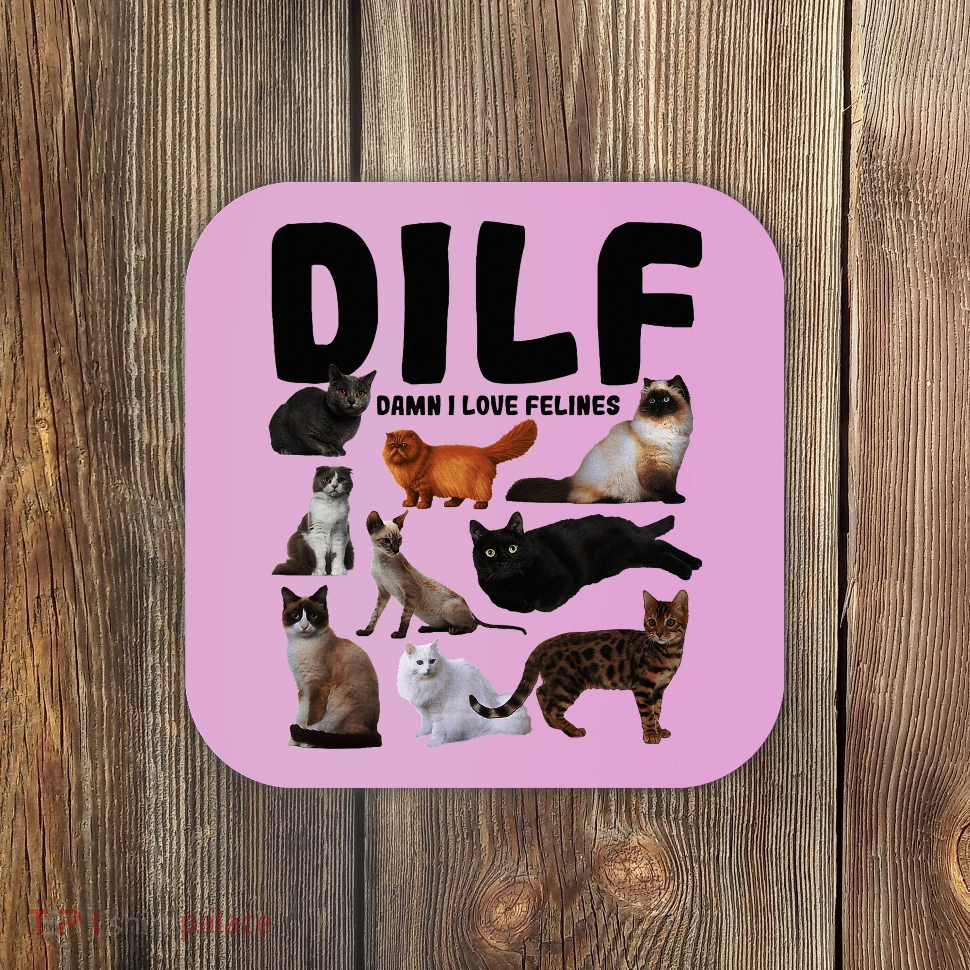 Dilf Damn I Love Felines Funny Cat Kitty Lover Coaster