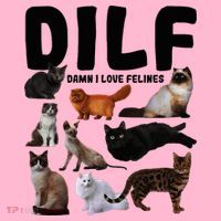 Dilf Damn I Love Felines Funny Cat Kitty Lover Coaster thumb 2