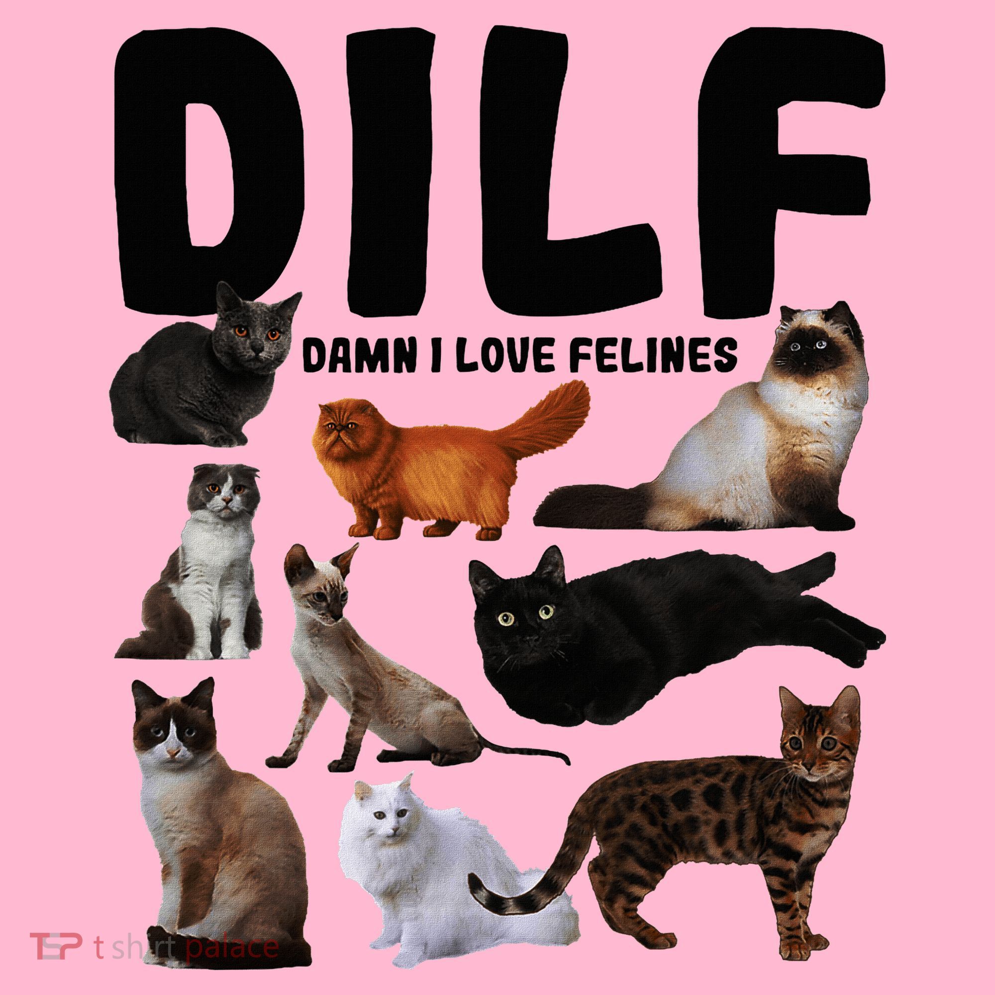 Dilf Damn I Love Felines Funny Cat Kitty Lover Coaster
