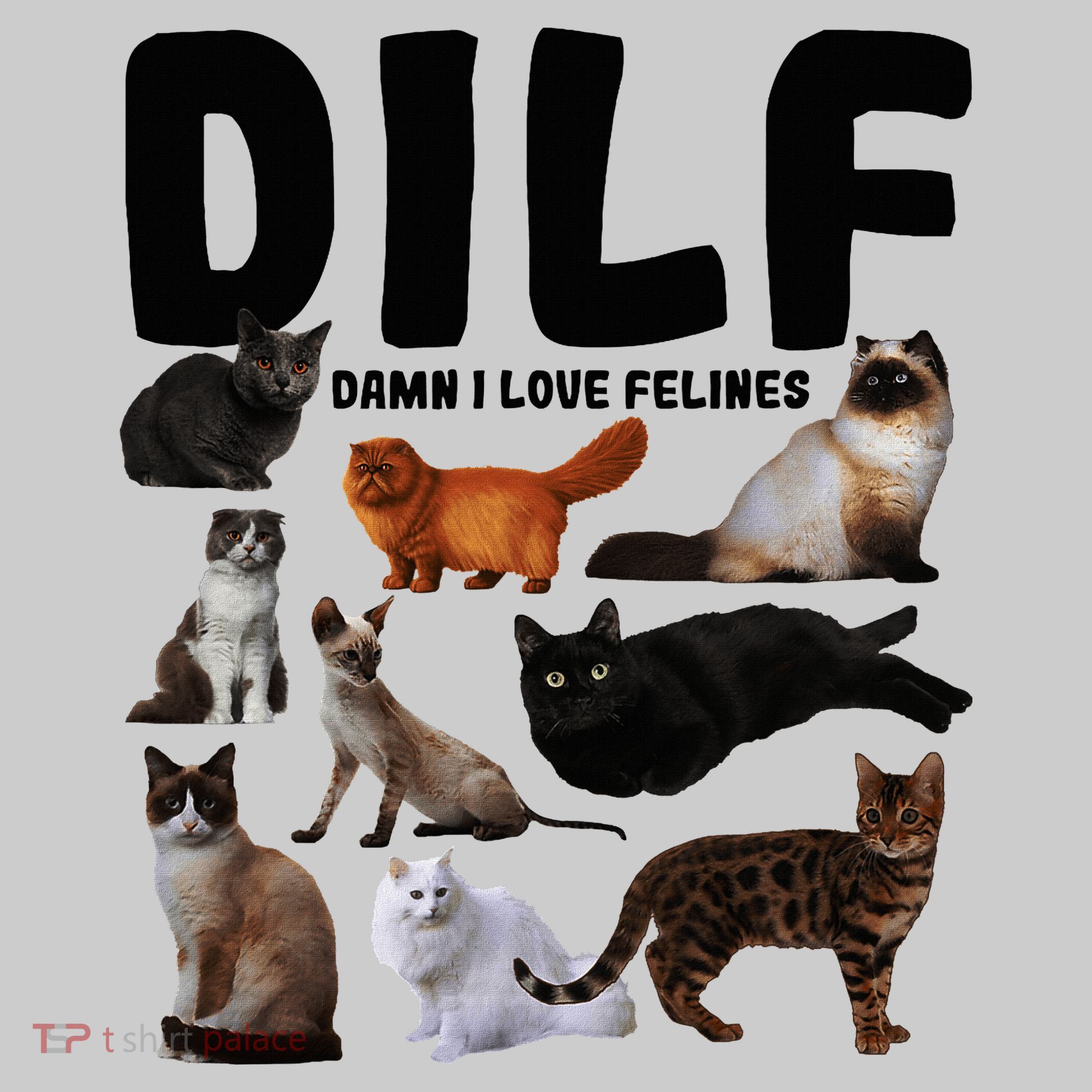 Dilf Damn I Love Felines Funny Cat Kitty Lover Performance Fleece Hoodie