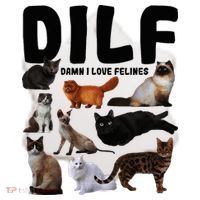 Dilf Damn I Love Felines Funny Cat Kitty Lover Ceramic Ornament thumb 2