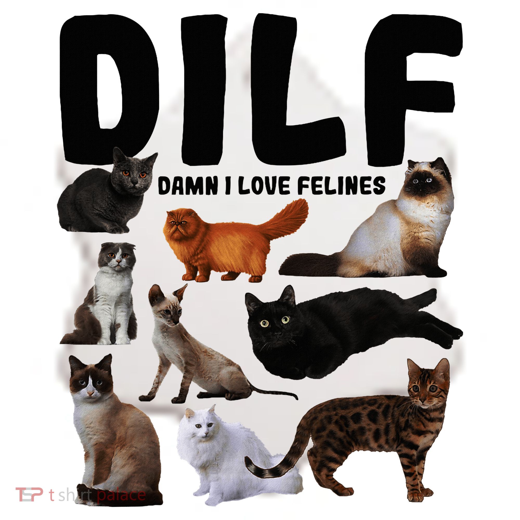 Dilf Damn I Love Felines Funny Cat Kitty Lover Ceramic Ornament