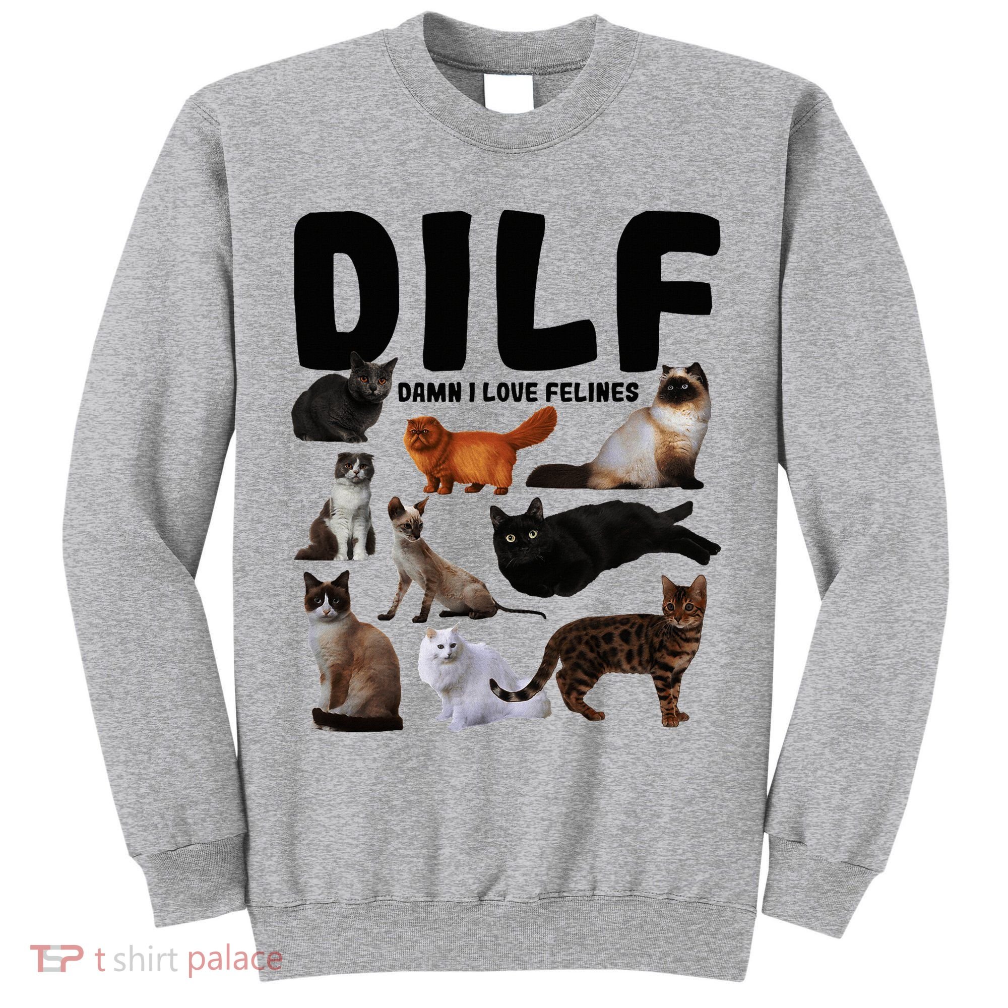 Dilf Damn I Love Felines Funny Cat Kitty Lover Tall Sweatshirt