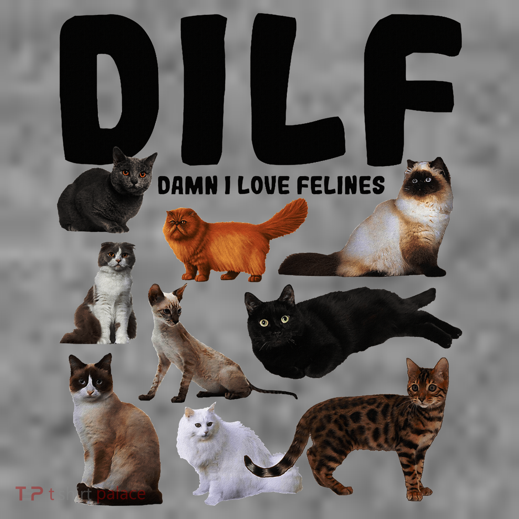 Dilf Damn I Love Felines Funny Cat Kitty Lover Tall Sweatshirt