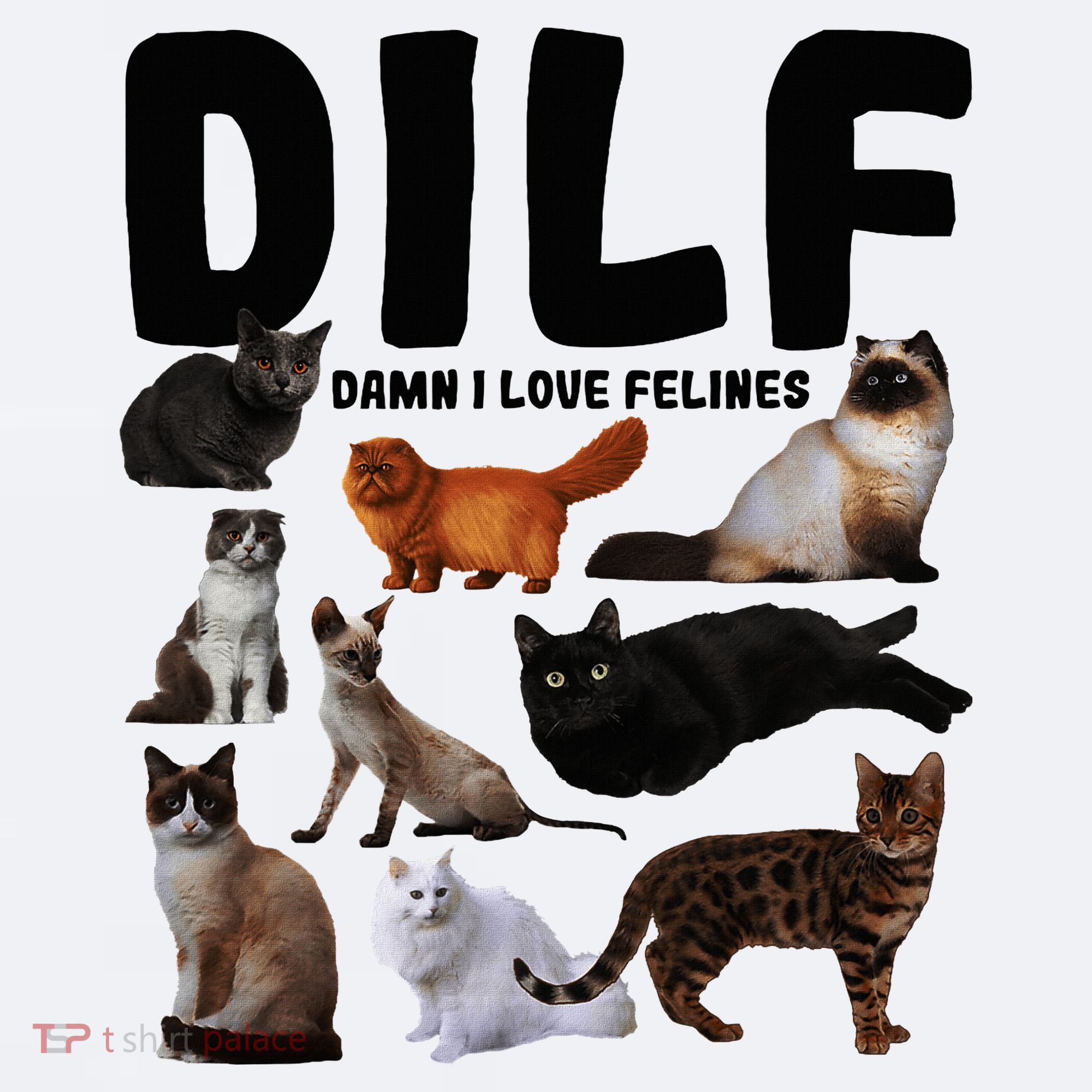 Dilf Damn I Love Felines Funny Cat Kitty Lover Sueded Cloud Jersey T-Shirt