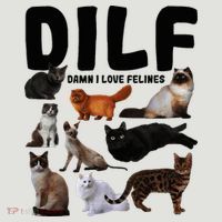 Dilf Damn I Love Felines Funny Cat Kitty Lover 24oz Duet Stainless Steel Tumbler thumb 2