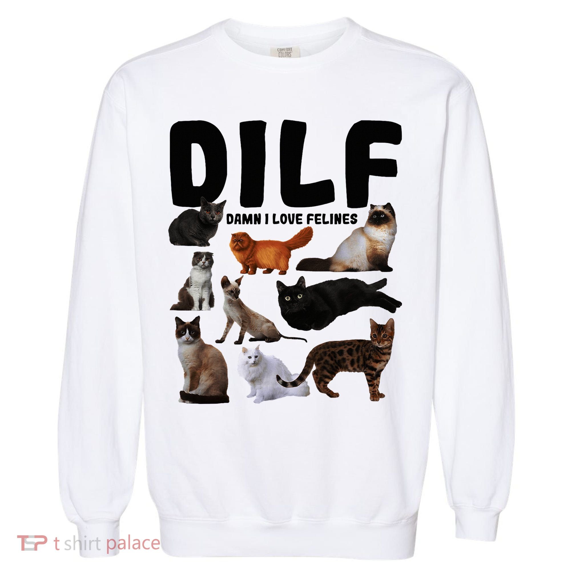 Dilf Damn I Love Felines Funny Cat Kitty Lover Garment-Dyed Sweatshirt
