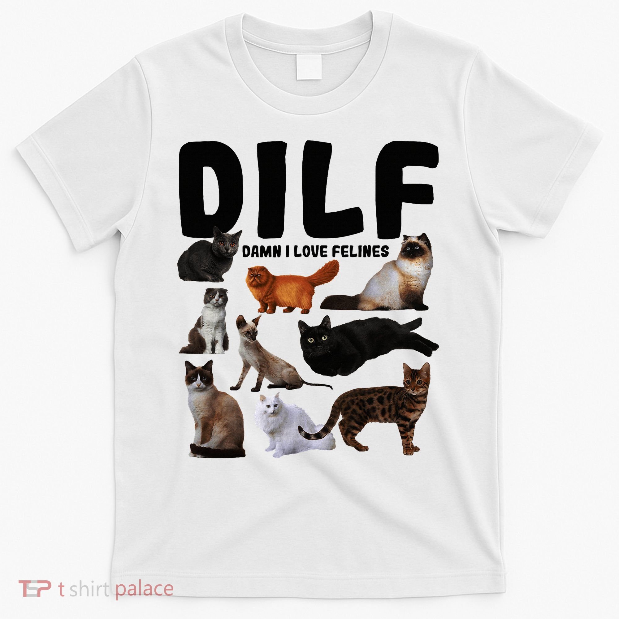 Dilf Damn I Love Felines Funny Cat Kitty Lover T-Shirt