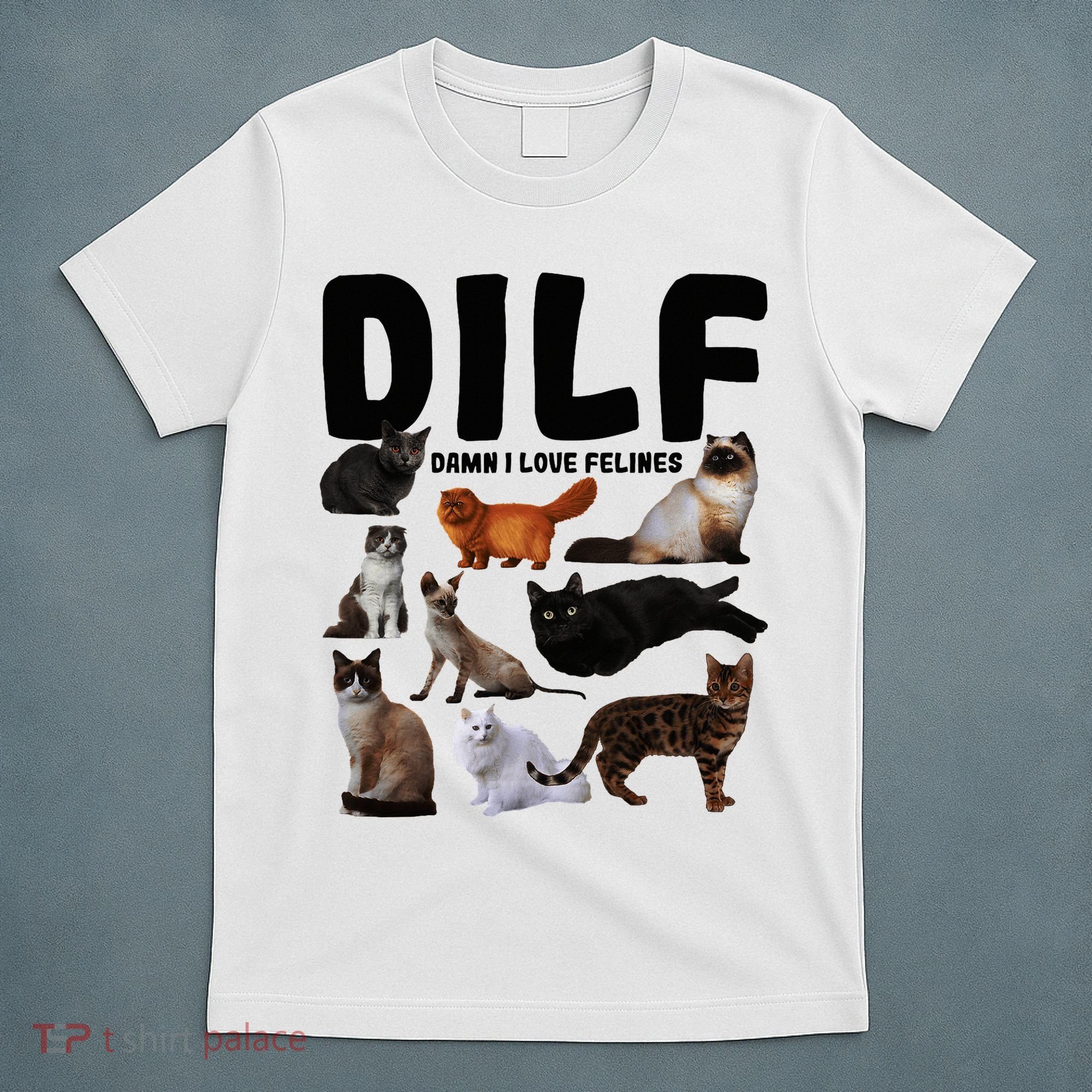 Dilf Damn I Love Felines Funny Cat Kitty Lover T-Shirt