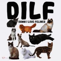 Dilf Damn I Love Felines Funny Cat Kitty Lover T-Shirt thumb 7