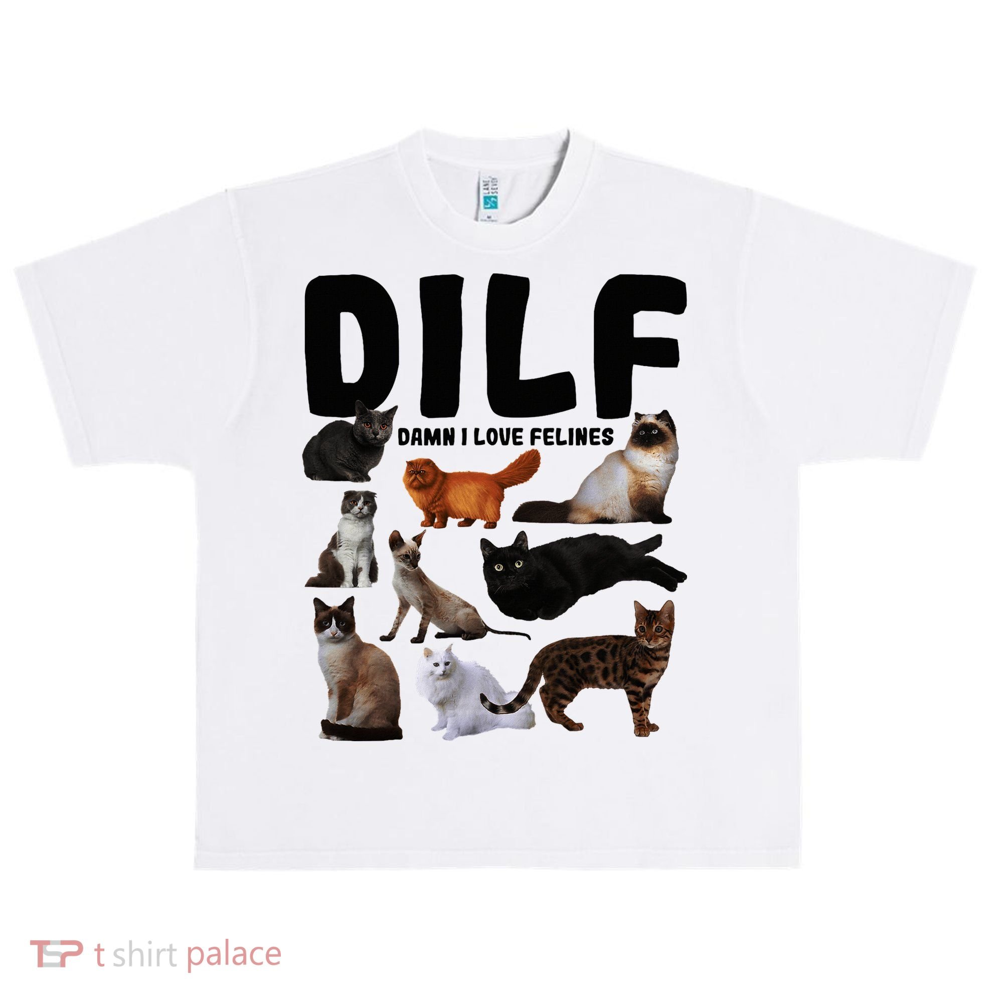 Dilf Damn I Love Felines Funny Cat Kitty Lover Urban Oversized Heavyweight T-Shirt