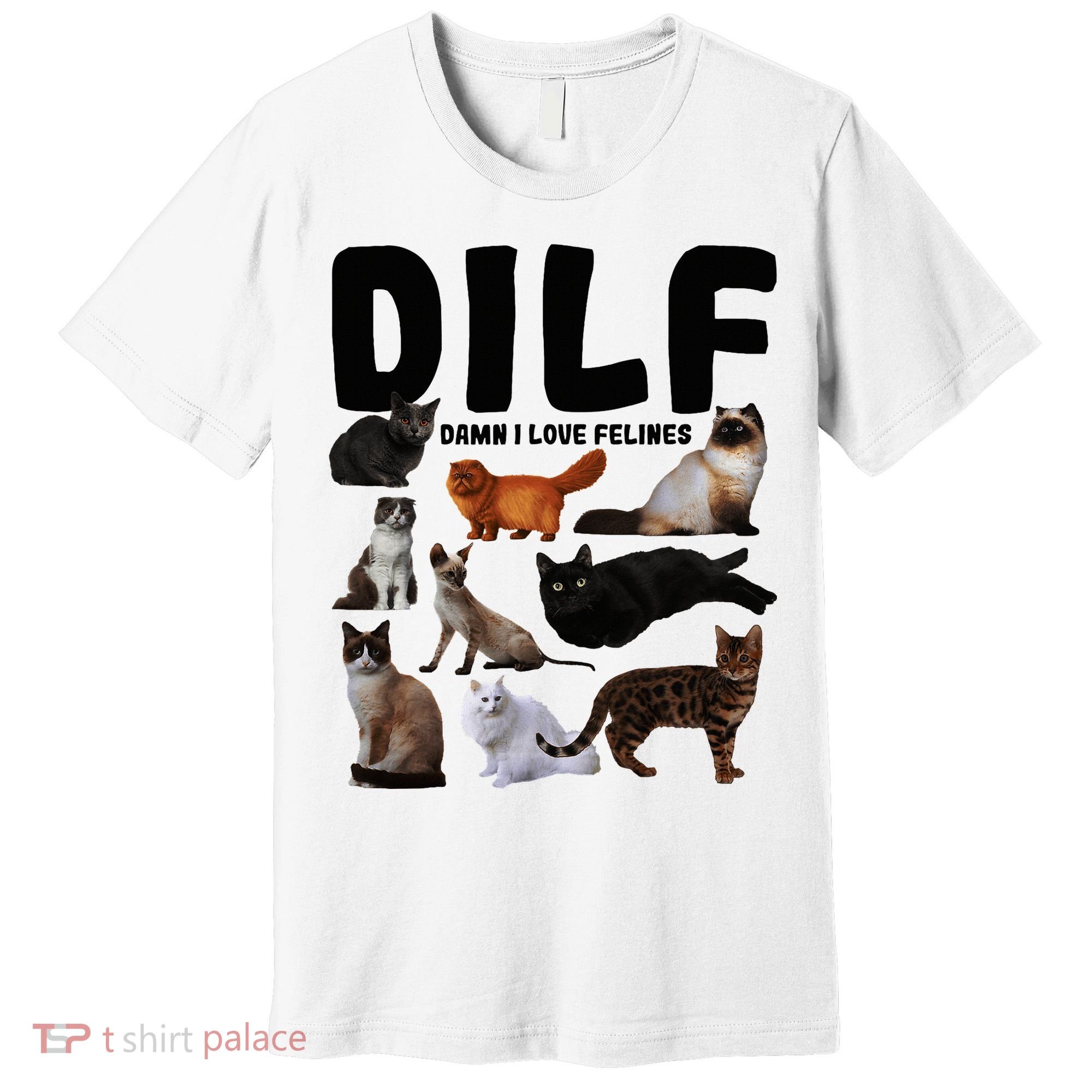 Dilf Damn I Love Felines Funny Cat Kitty Lover Premium T-Shirt