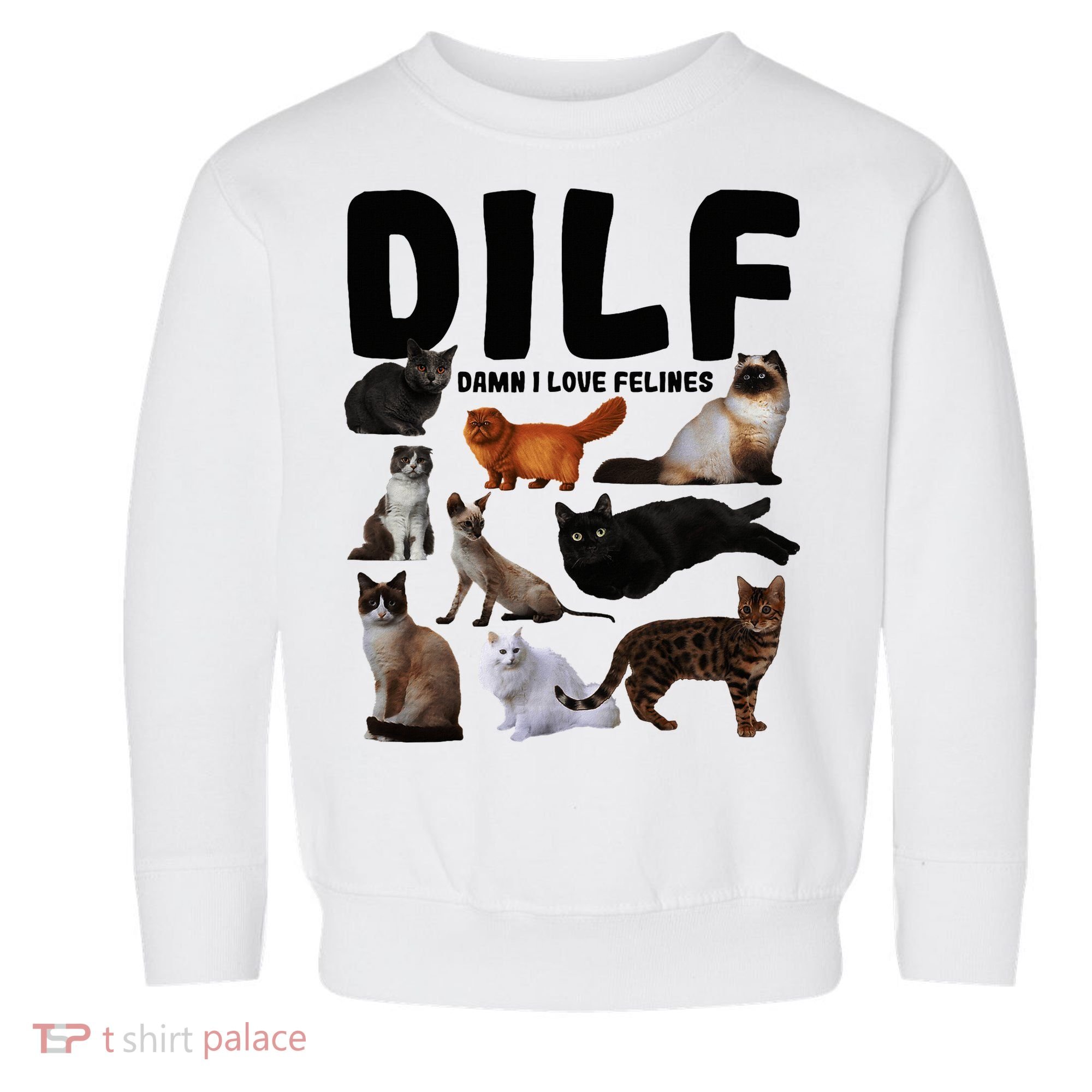 Dilf Damn I Love Felines Funny Cat Kitty Lover Toddler Sweatshirt
