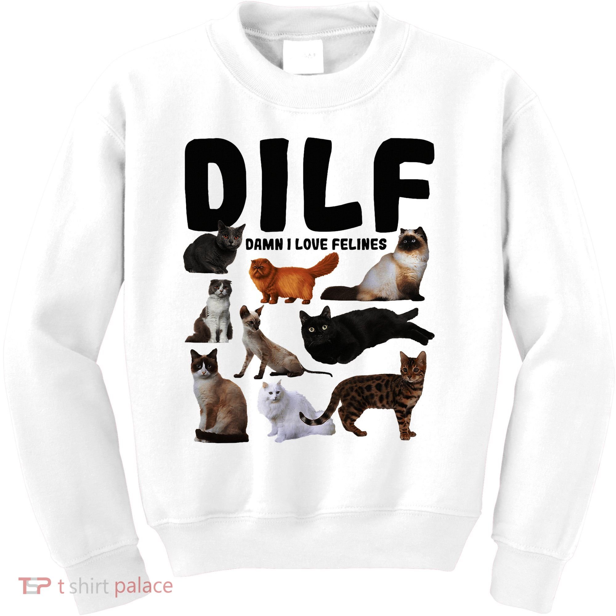Dilf Damn I Love Felines Funny Cat Kitty Lover Kids Sweatshirt
