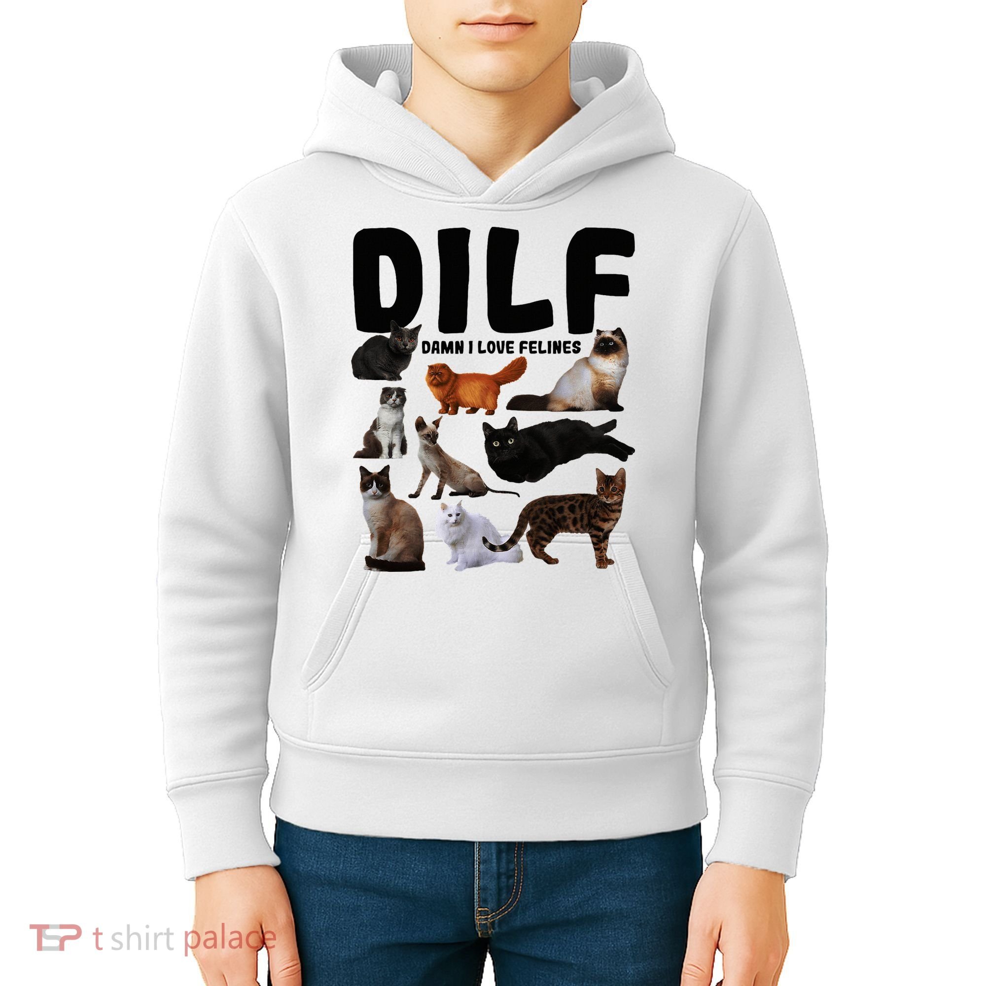 Dilf Damn I Love Felines Funny Cat Kitty Lover Kids Hoodie