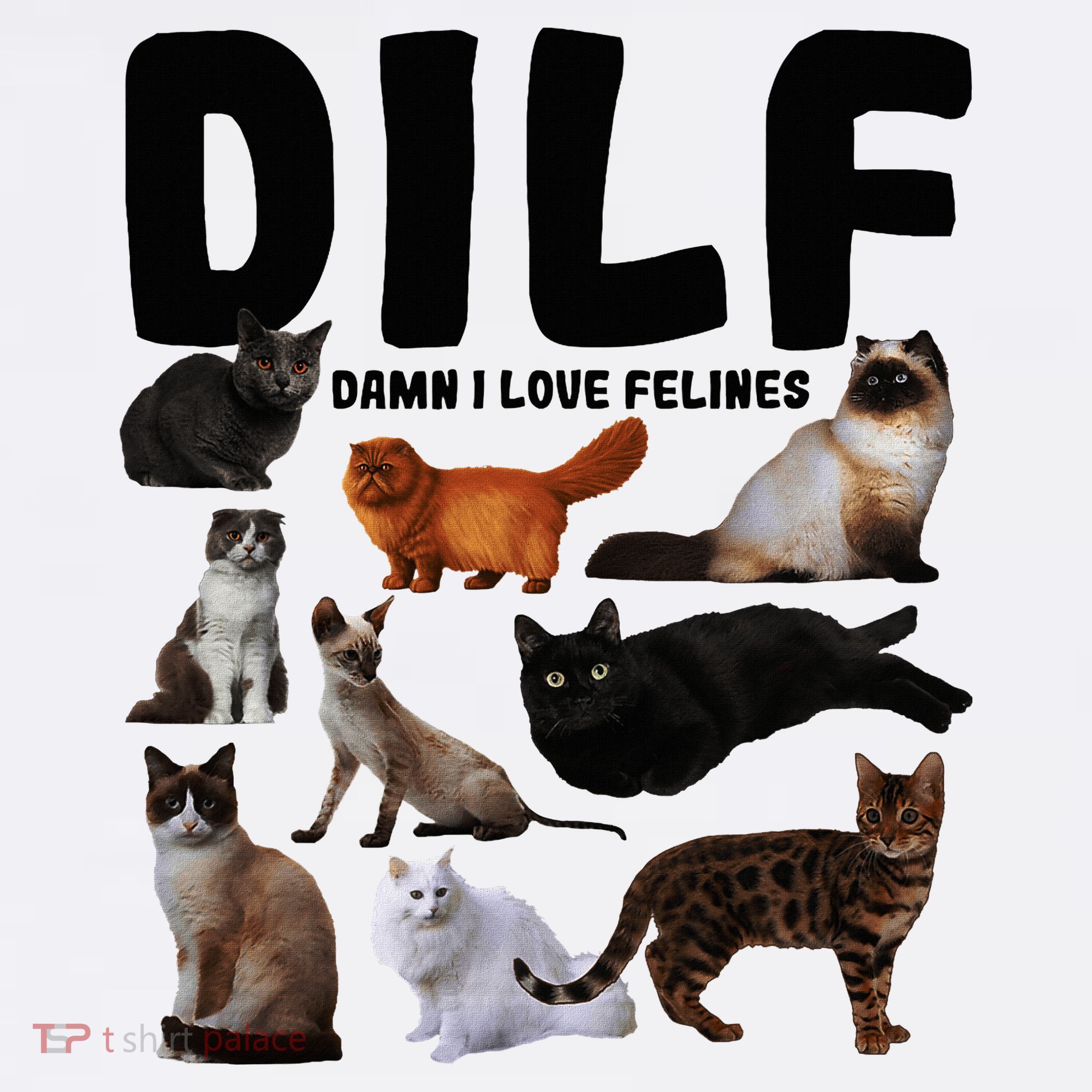 Dilf Damn I Love Felines Funny Cat Kitty Lover Kids Long Sleeve Plaid Pajama Set
