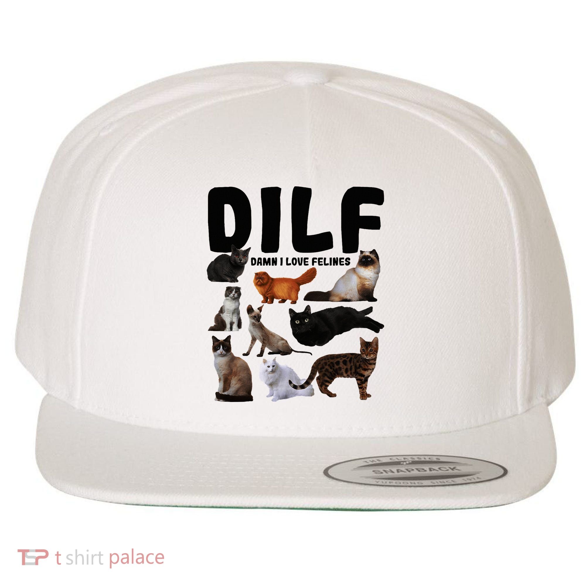 Dilf Damn I Love Felines Funny Cat Kitty Lover Wool Snapback Cap