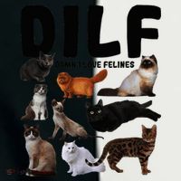 Dilf Damn I Love Felines Funny Cat Kitty Lover Toddler Fine Jersey T-Shirt thumb 2