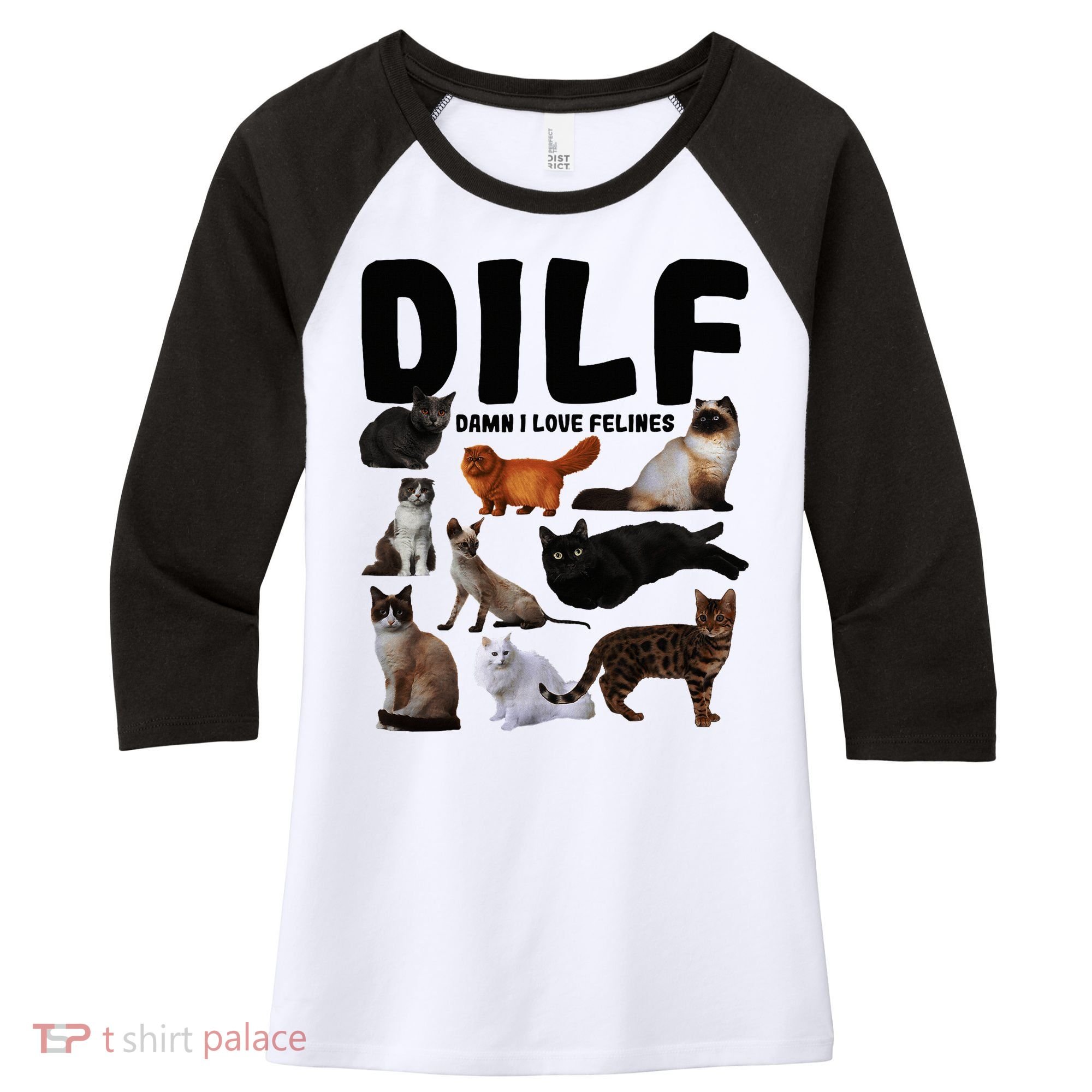 Dilf Damn I Love Felines Funny Cat Kitty Lover Women's Tri-Blend 3/4-Sleeve Raglan Shirt
