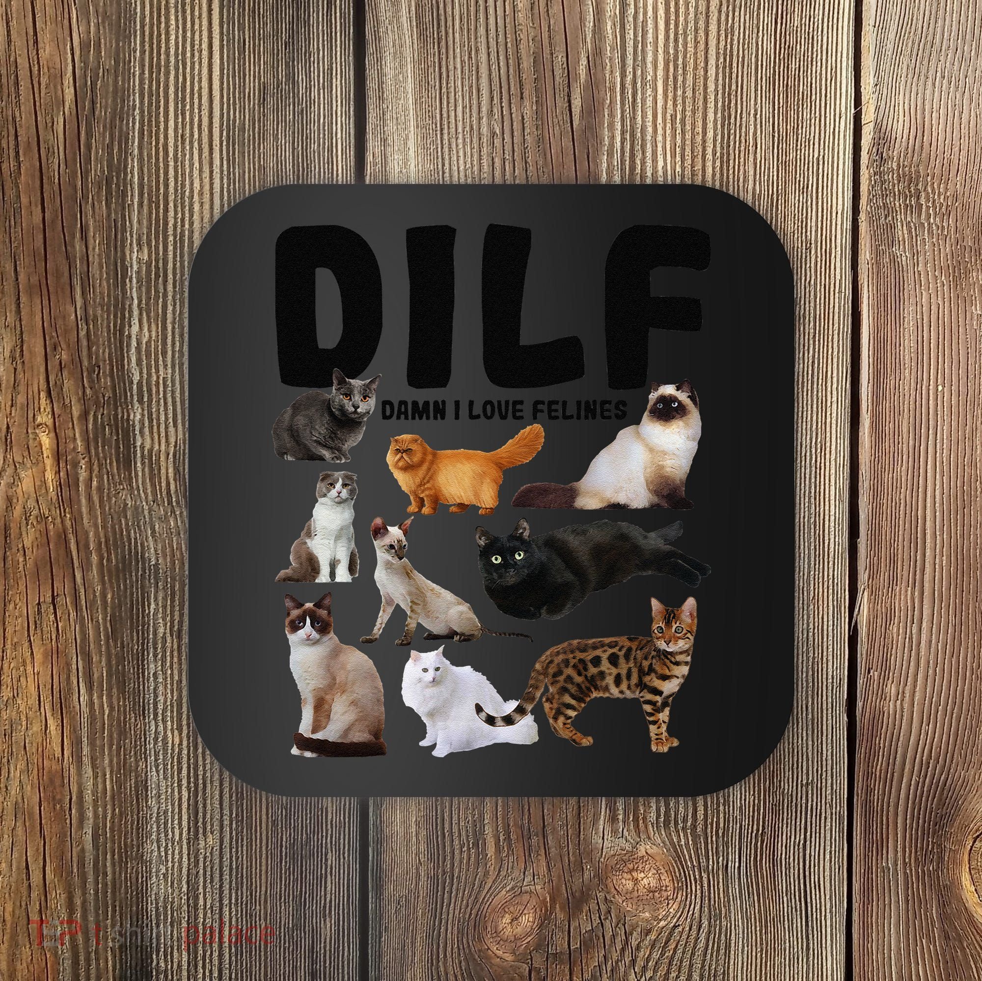 DILF Damn I Love Felines Funny Cat Kitty Lover Coaster