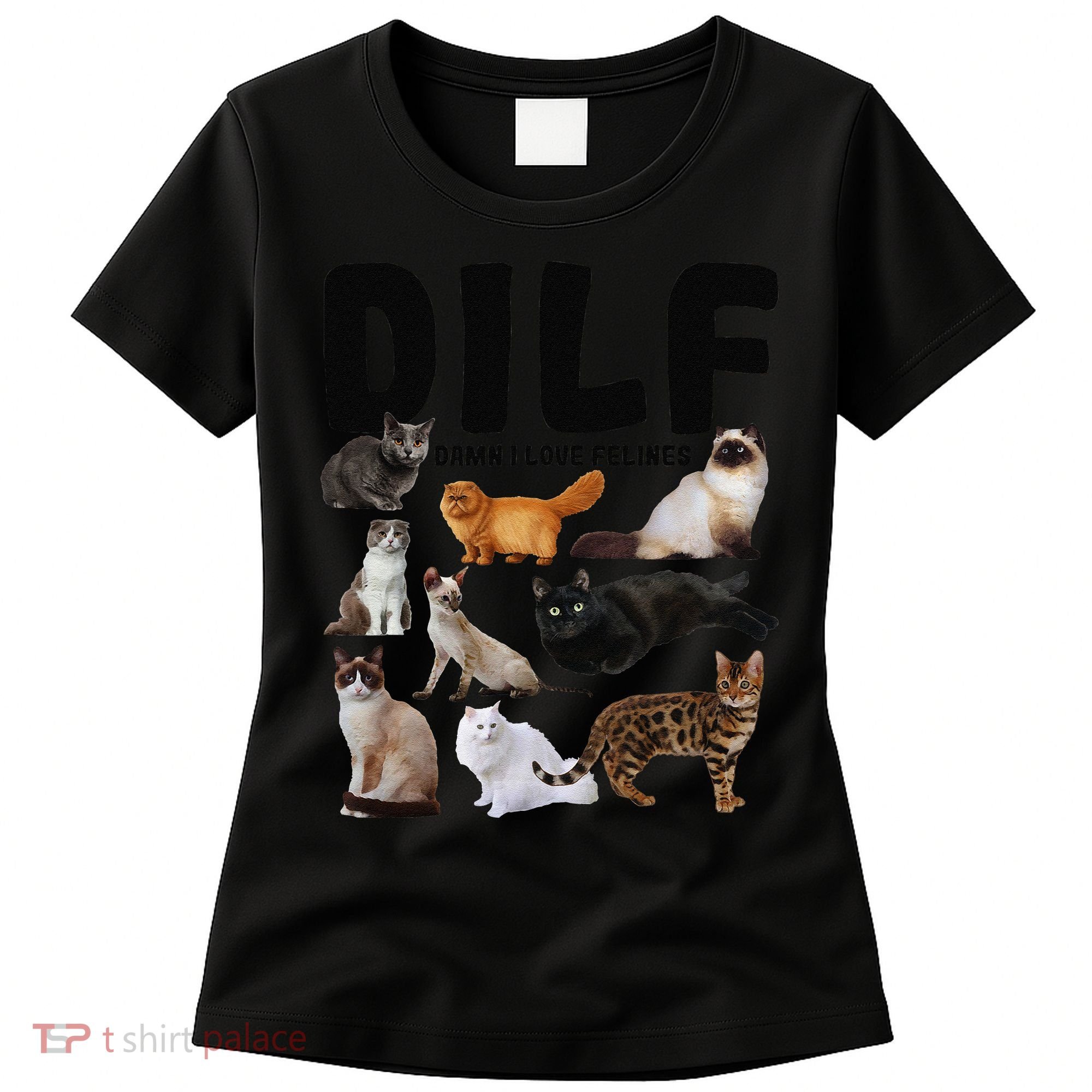 DILF Damn I Love Felines Funny Cat Kitty Lover Women's T-Shirt