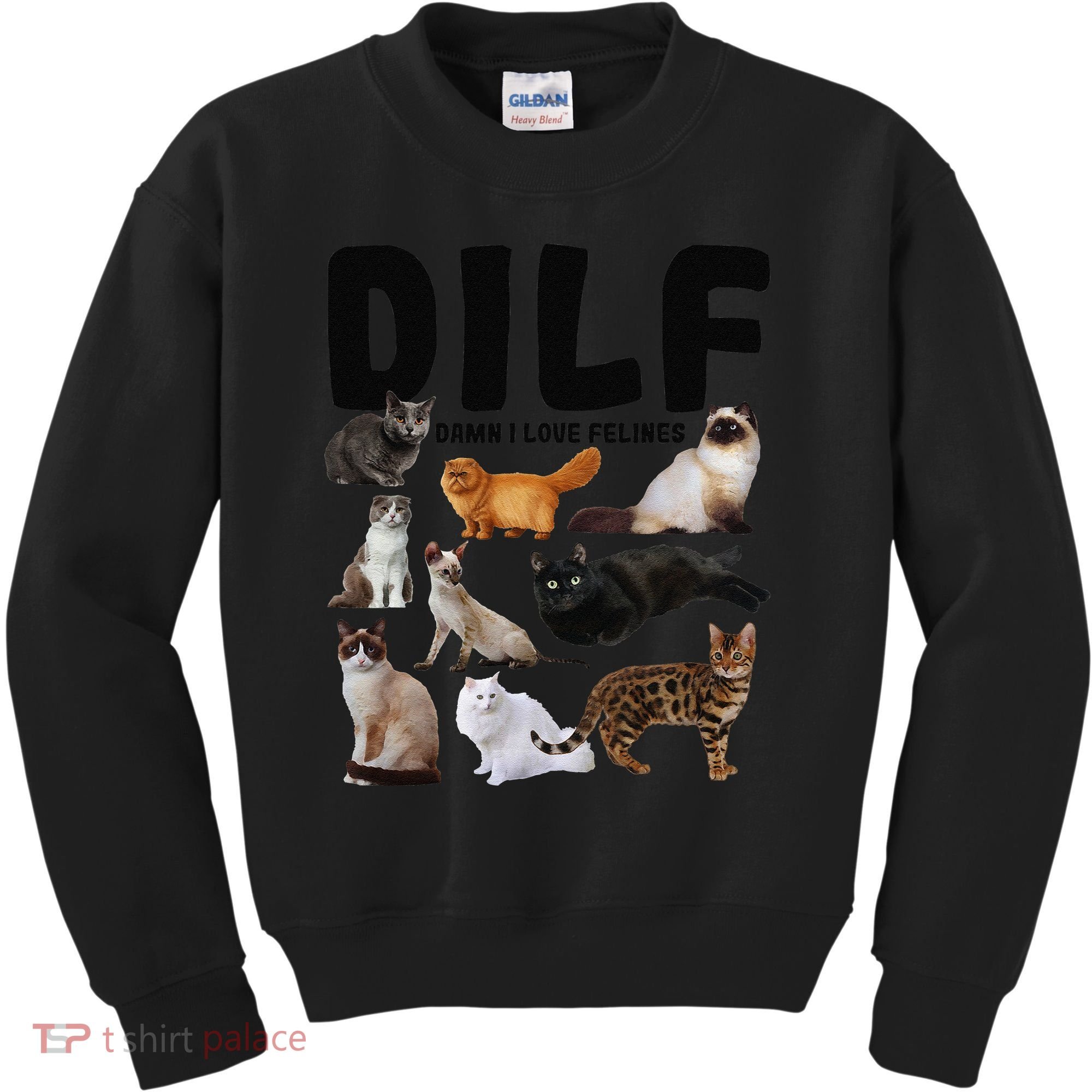 DILF Damn I Love Felines Funny Cat Kitty Lover Kids Sweatshirt