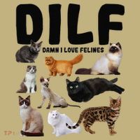DILF Damn I Love Felines Funny Cat Kitty Lover Sweatshirt thumb 2