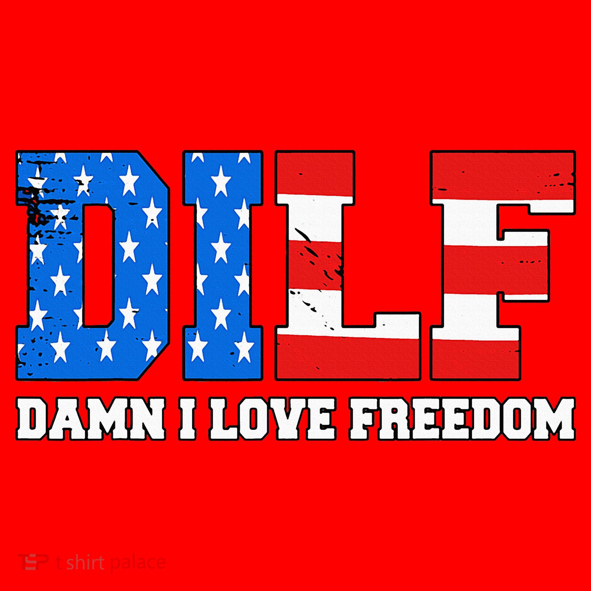 Dilf Damn I Love Freedom Santa Hat