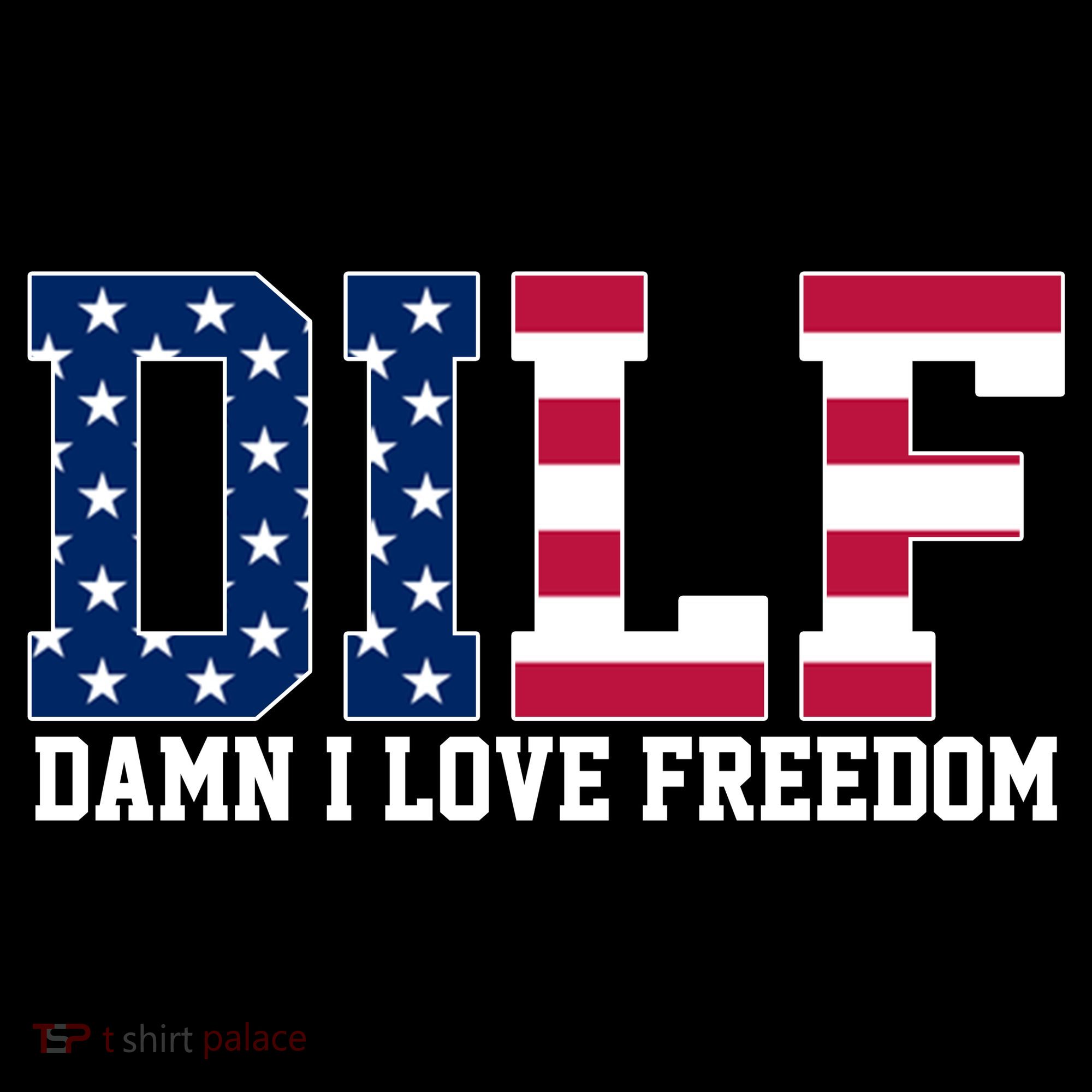 DILF Damn I Love Freedom USA Women's Hoodie