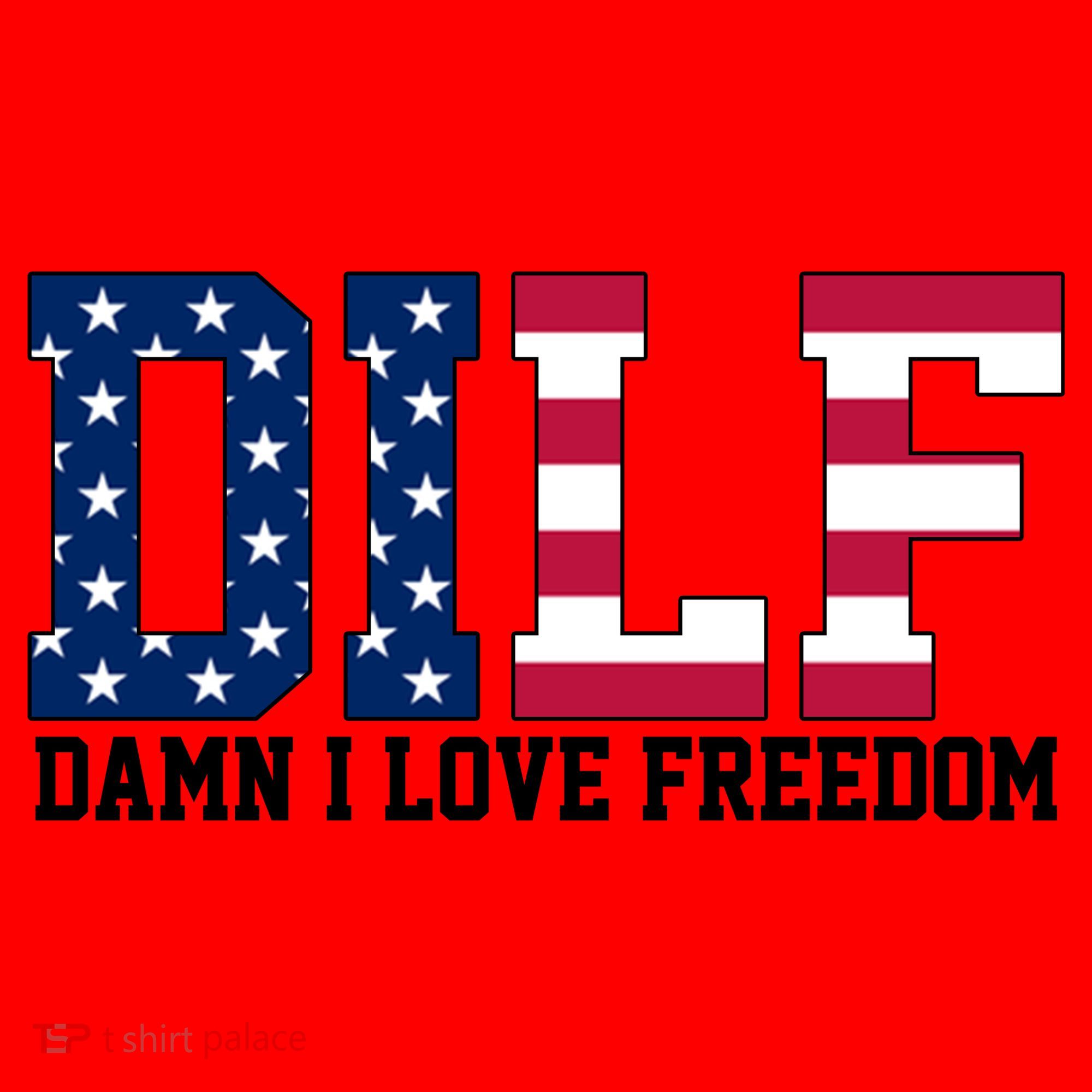 DILF Damn I Love Freedom USA Santa Hat